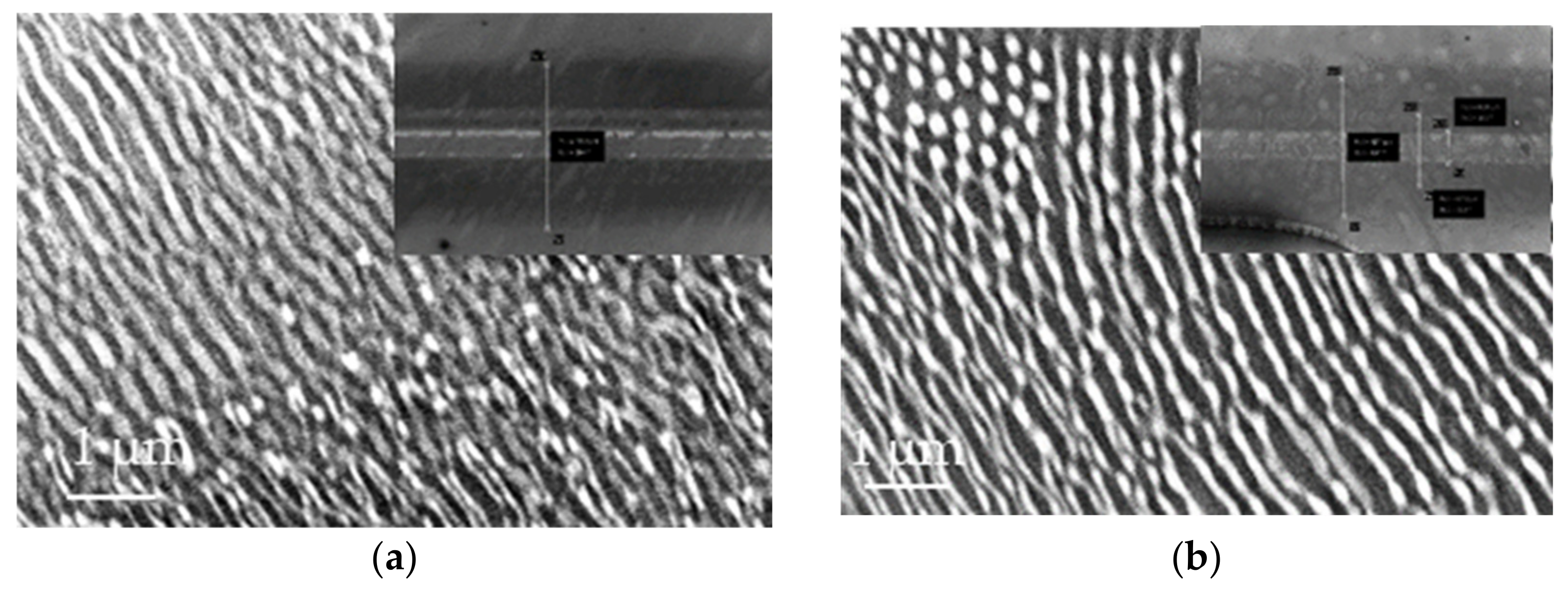 Nanomaterials 11 01060 g007a