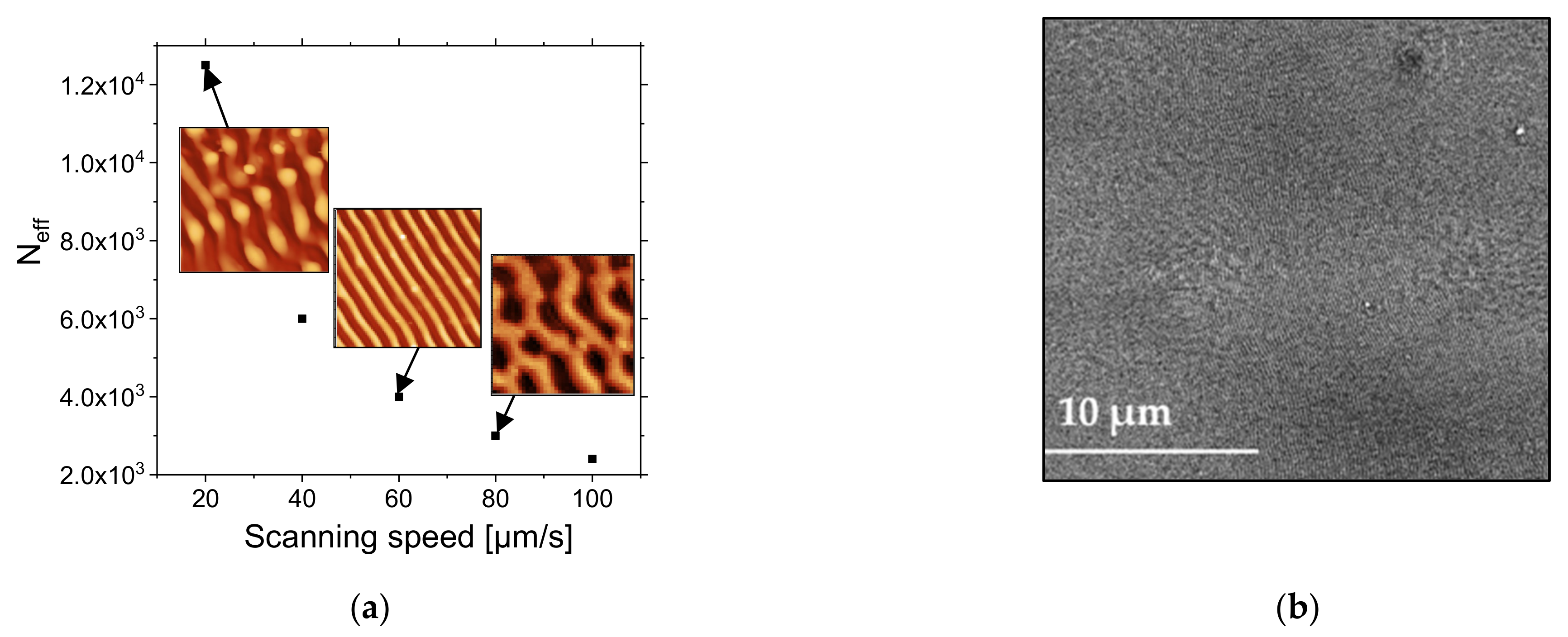 Nanomaterials 11 01060 g009