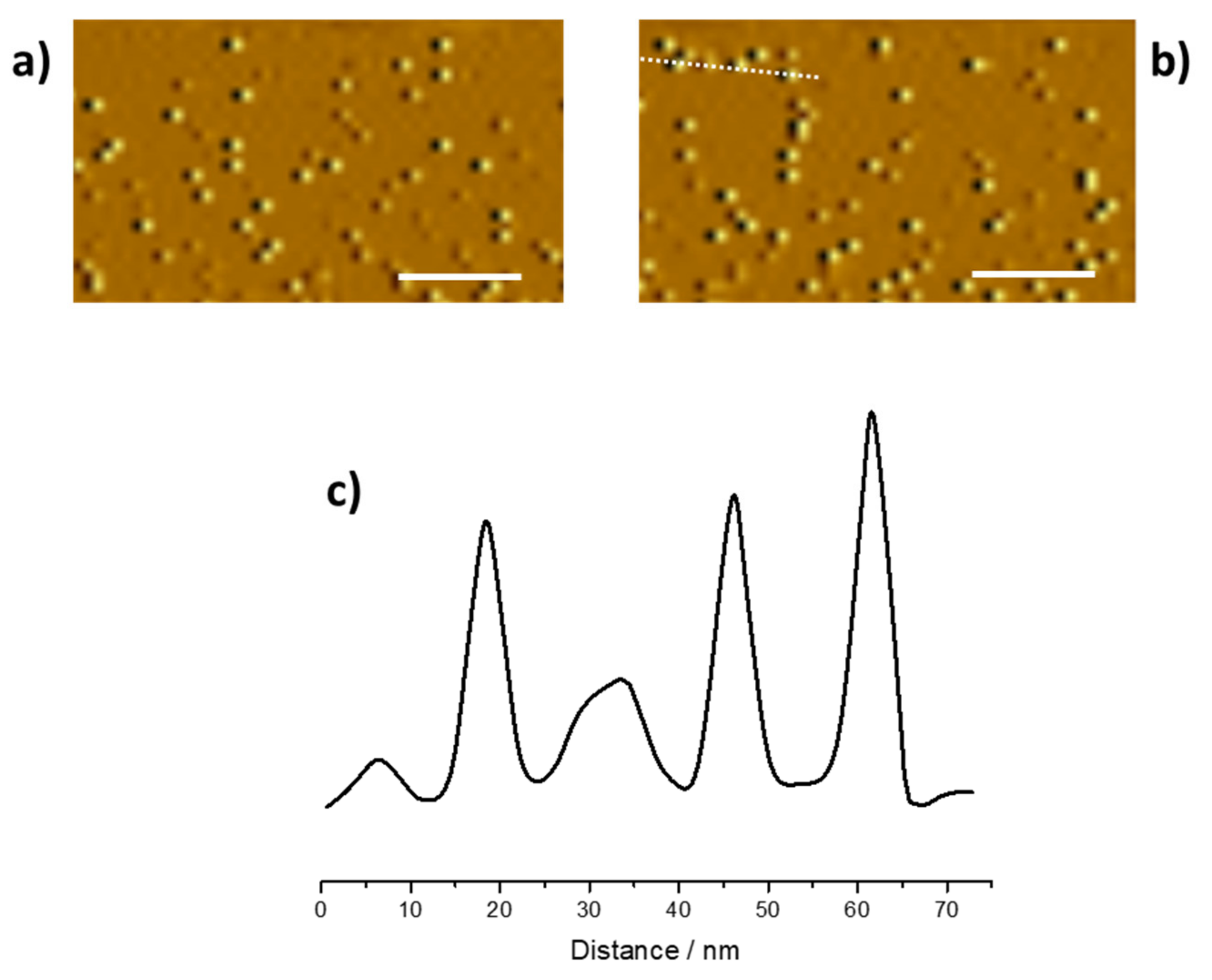 Nanomaterials 11 01064 g004