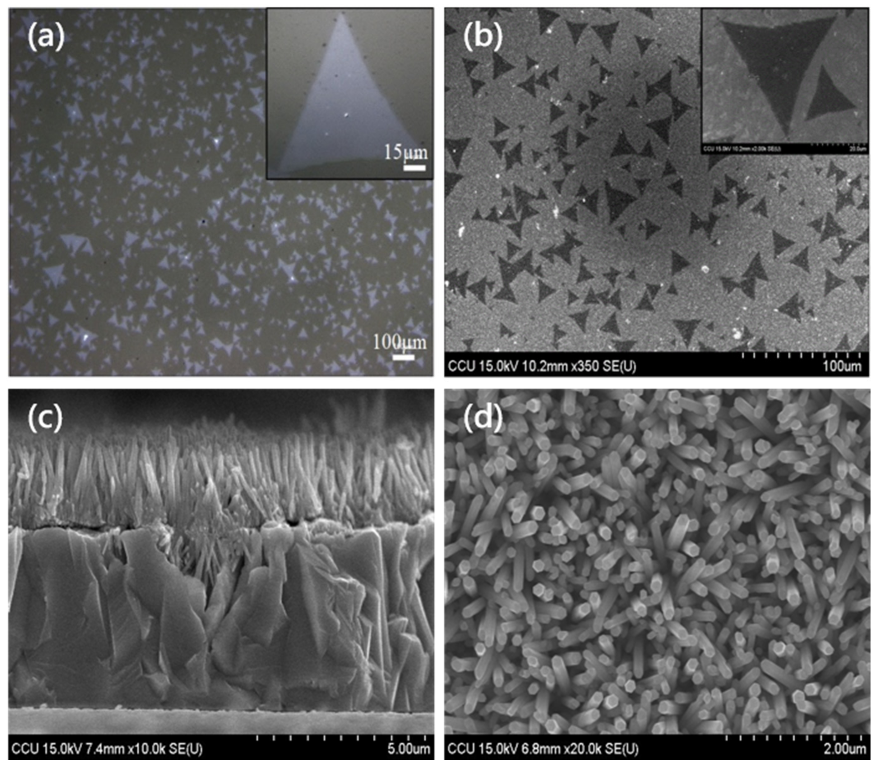 Nanomaterials 11 01065 g002