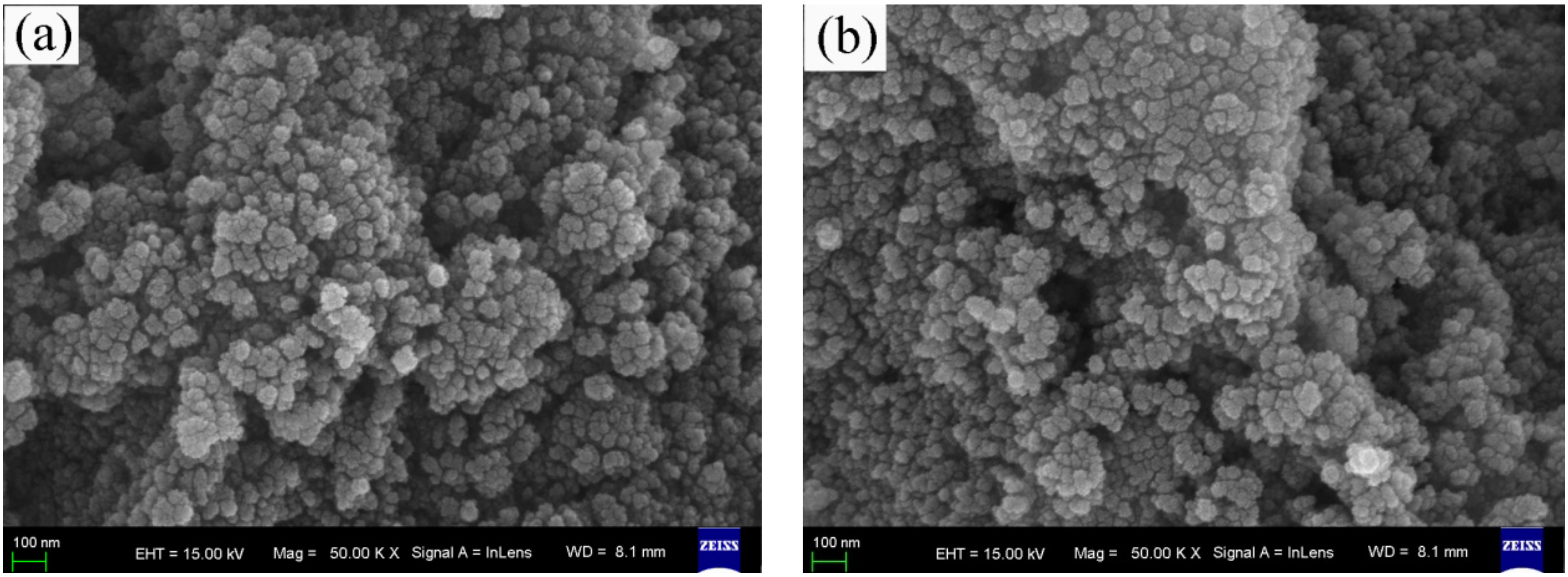 Nanomaterials 11 01068 g001a