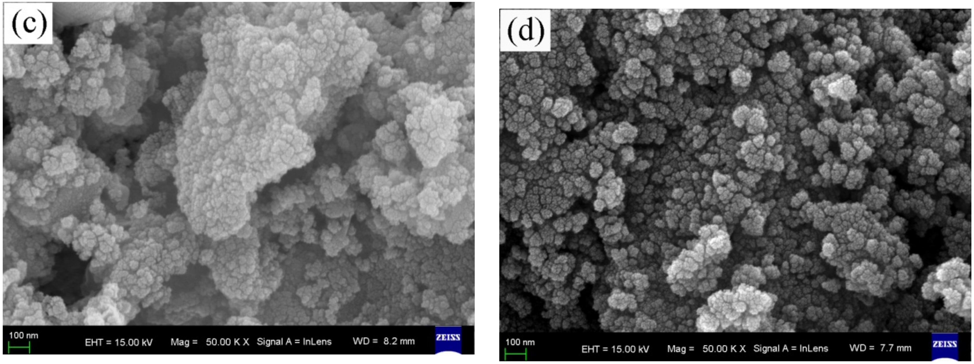 Nanomaterials 11 01068 g001b