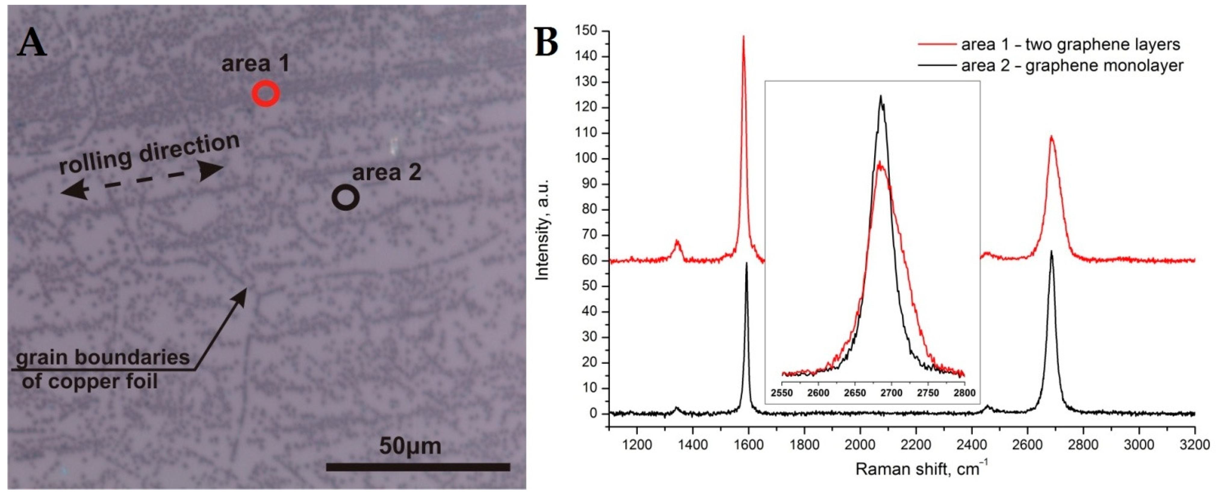 Nanomaterials 11 01071 g001