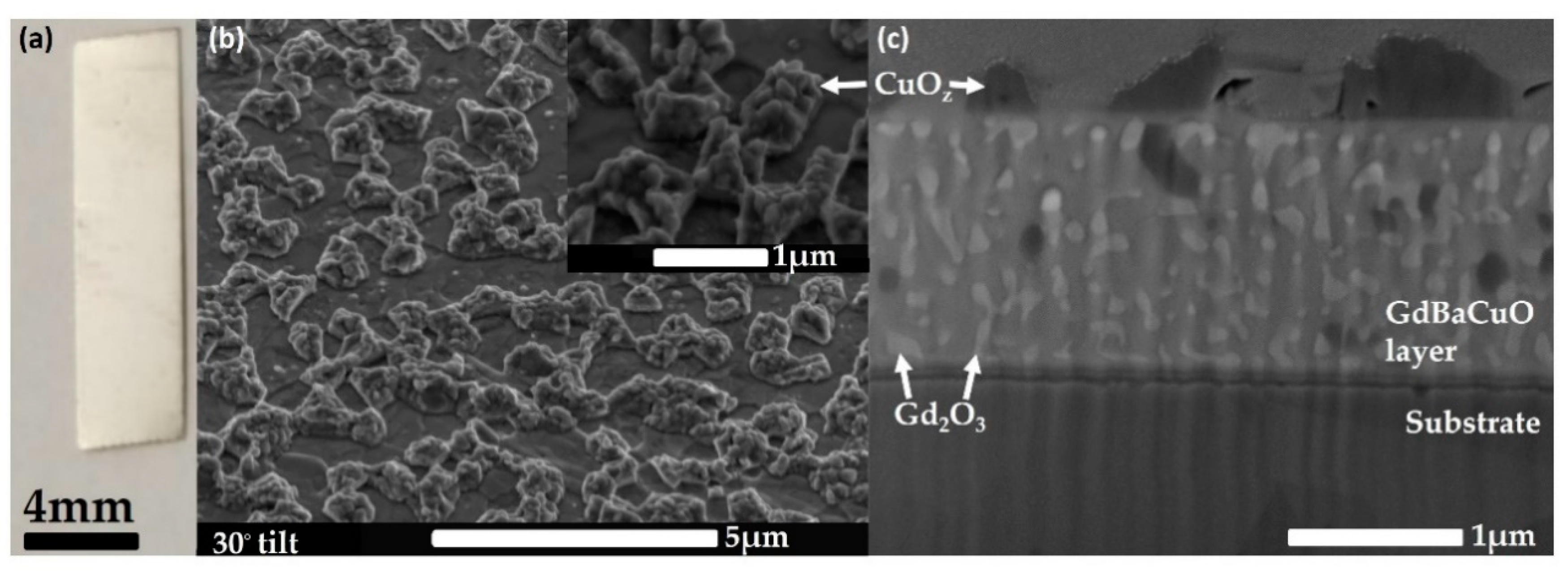 Nanomaterials 11 01082 g001