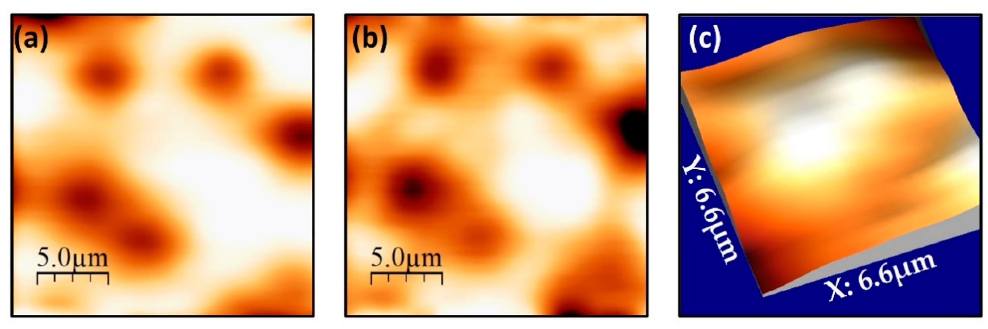 Nanomaterials 11 01082 g005