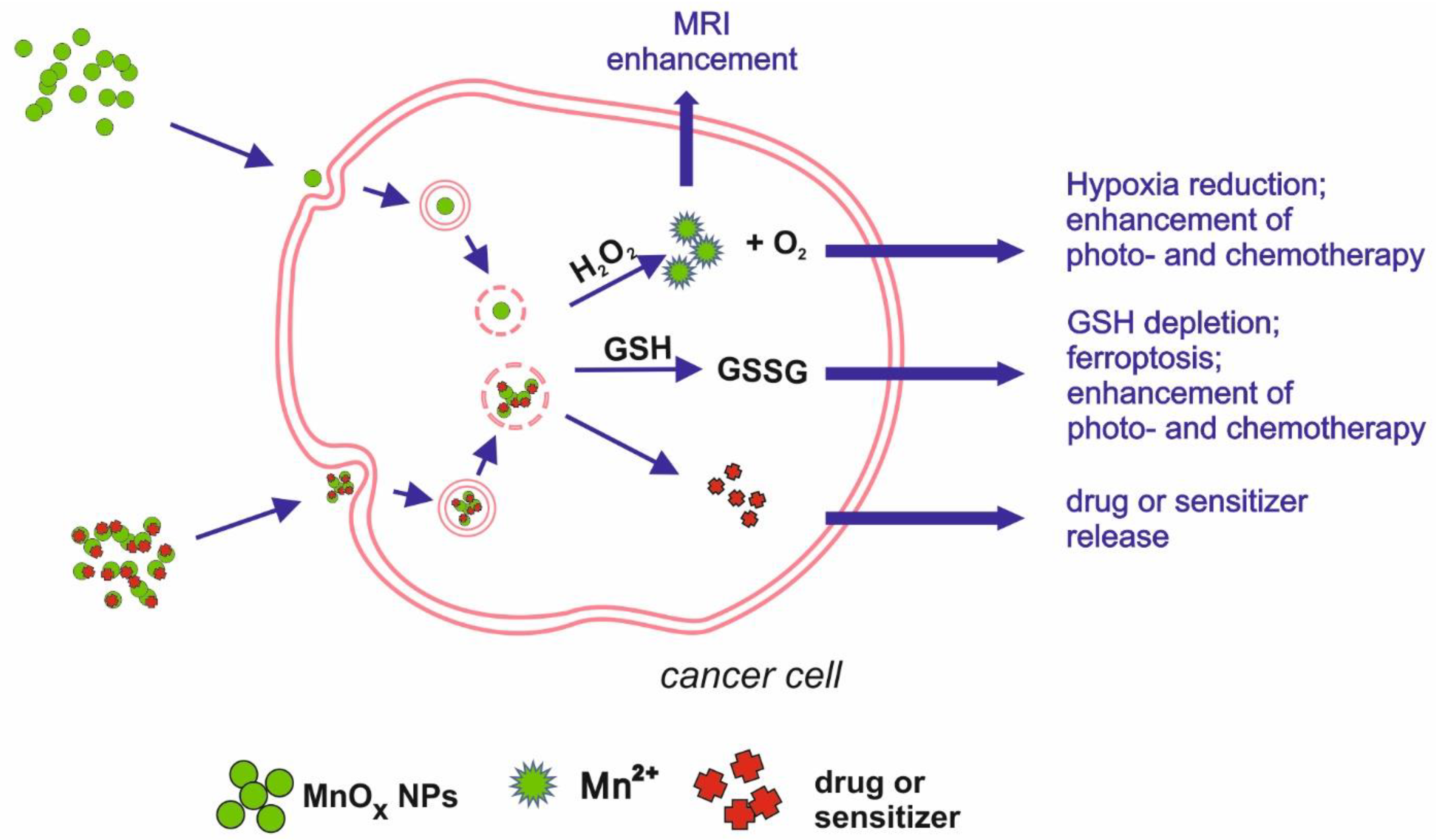 Nanomaterials 11 01084 g002