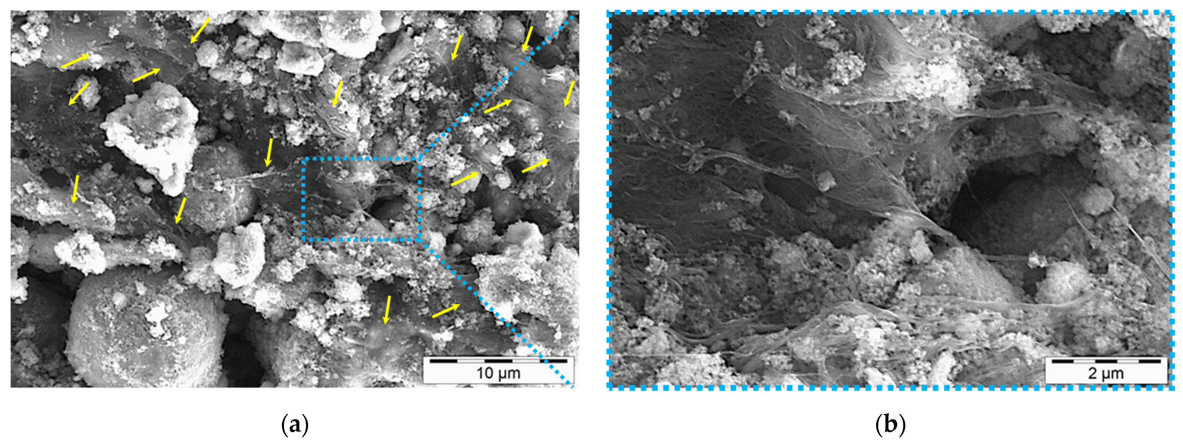 Nanomaterials 11 01095 g007 Nanomaterials 11 01095 g007
