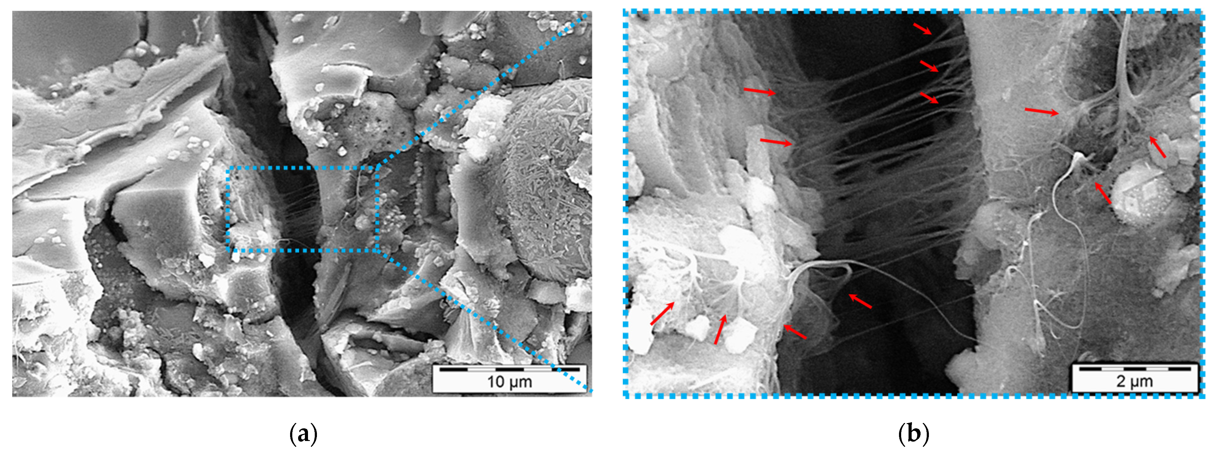 Nanomaterials 11 01095 g009 Nanomaterials 11 01095 g009