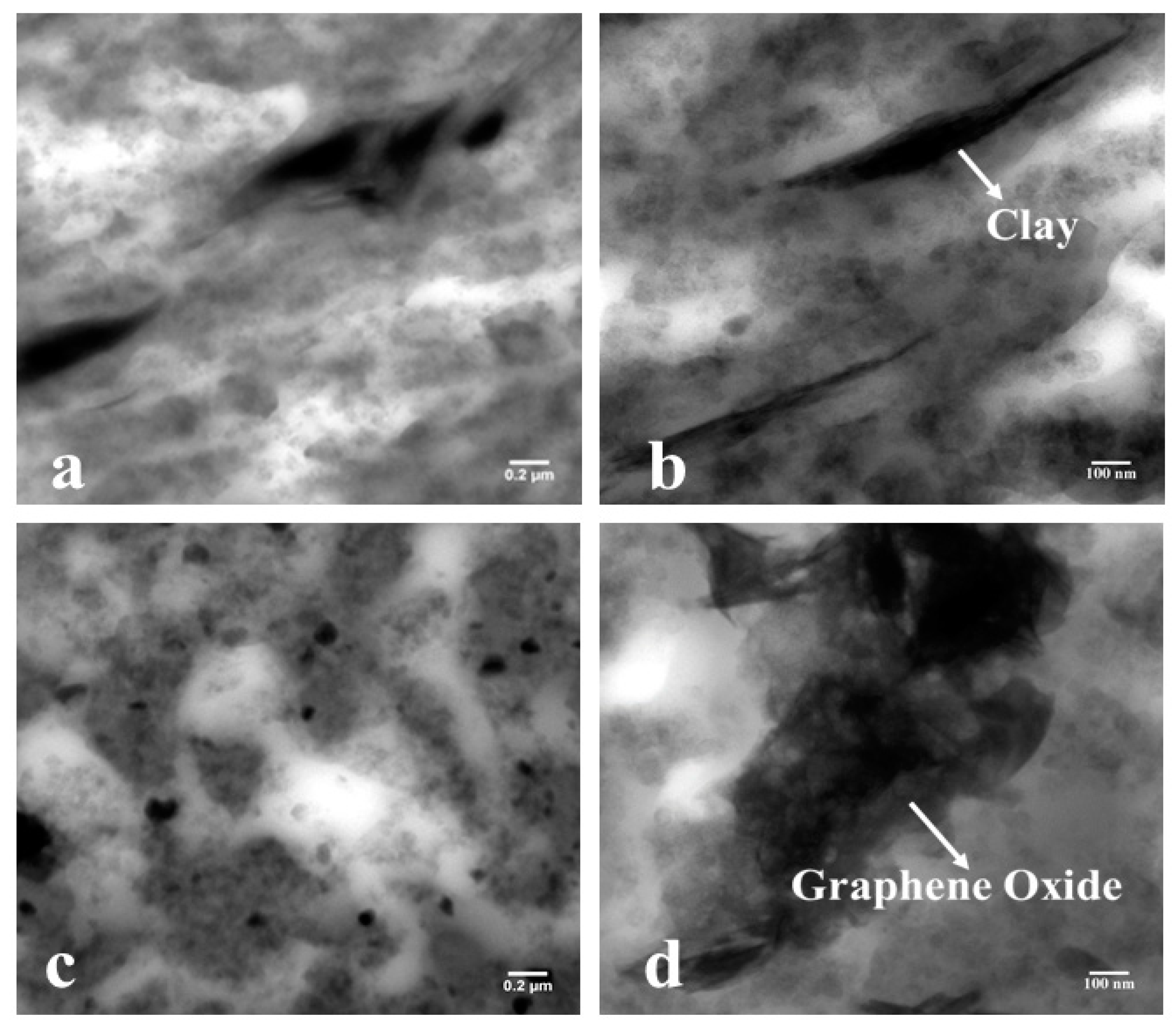 Nanomaterials 11 01098 g005