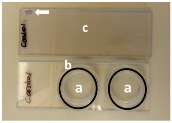 Nanomaterials 11 01100 g0a1