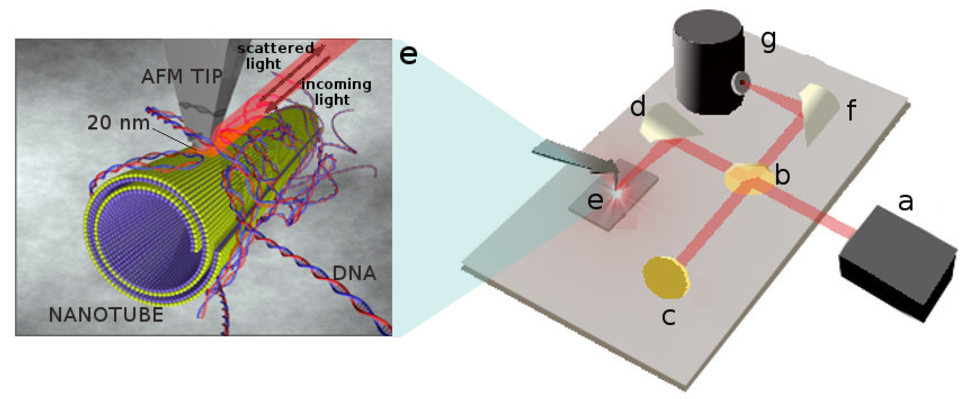 Nanomaterials 11 01103 g001