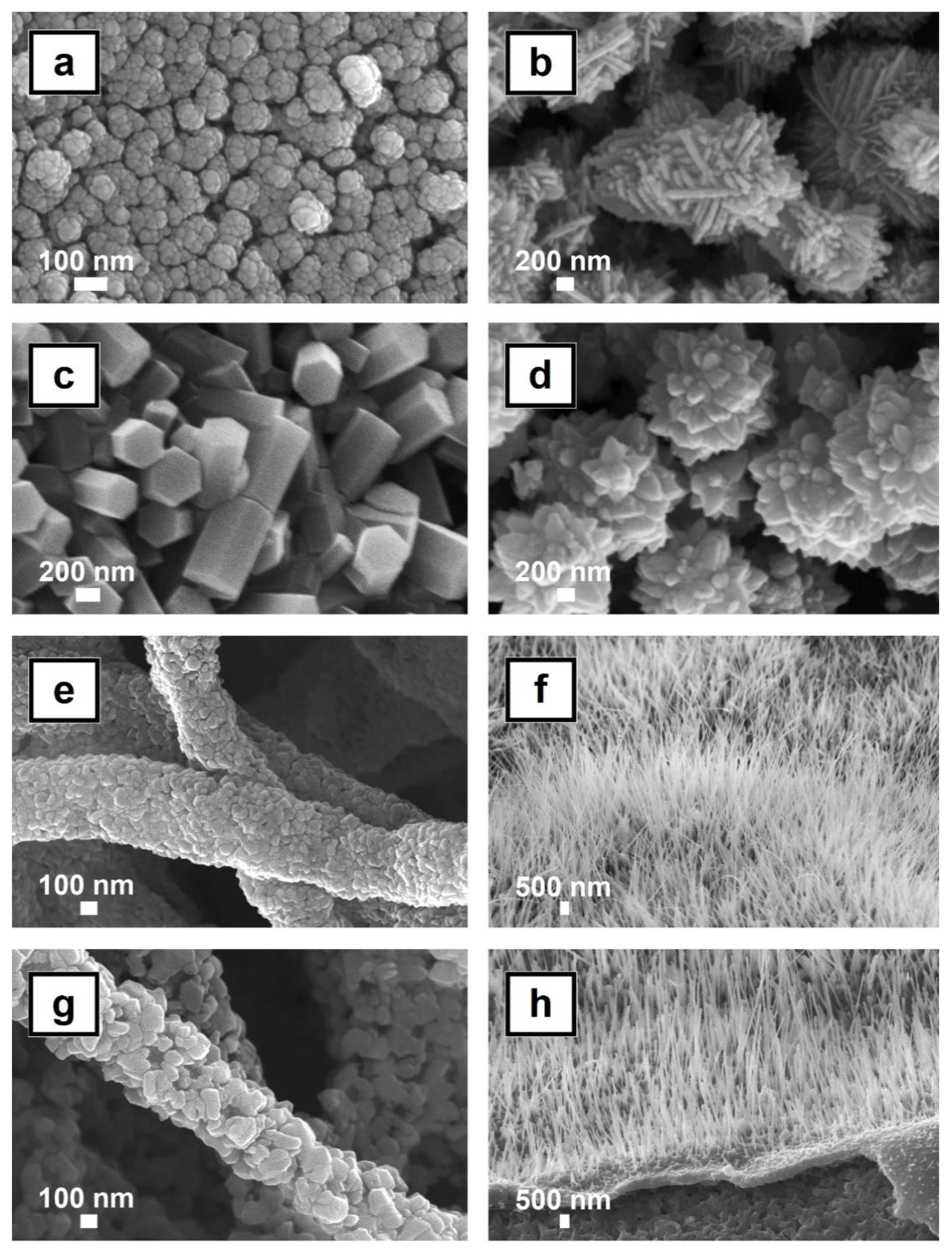 Nanomaterials 11 01117 g003 Nanomaterials 11 01117 g003