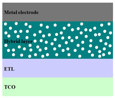 Nanomaterials 11 01117 i011
