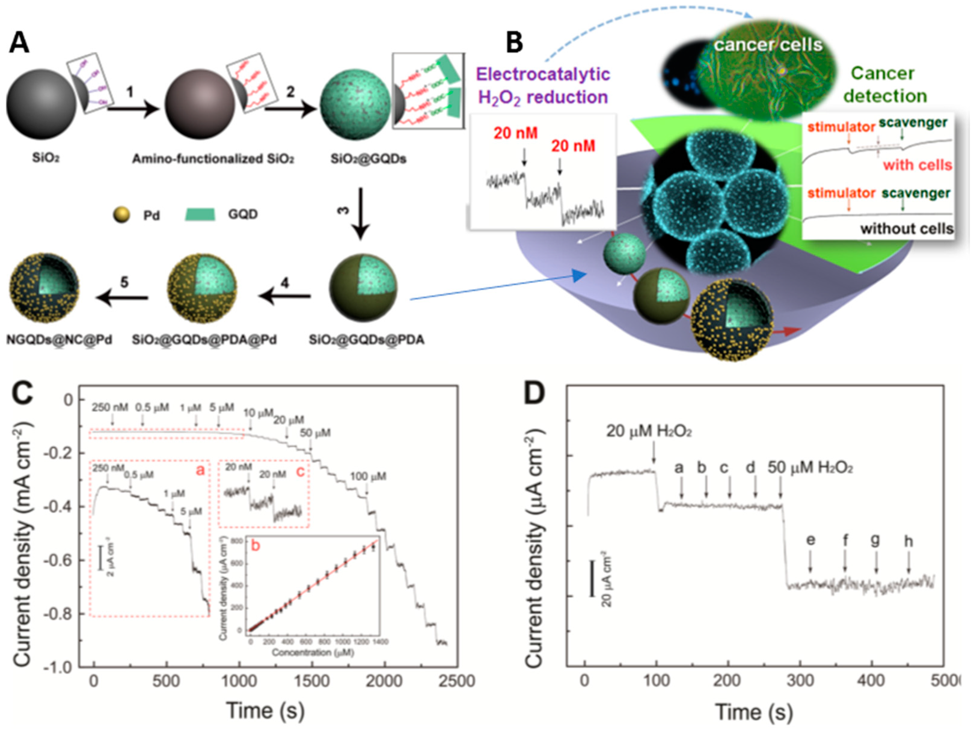 Nanomaterials 11 01120 g004