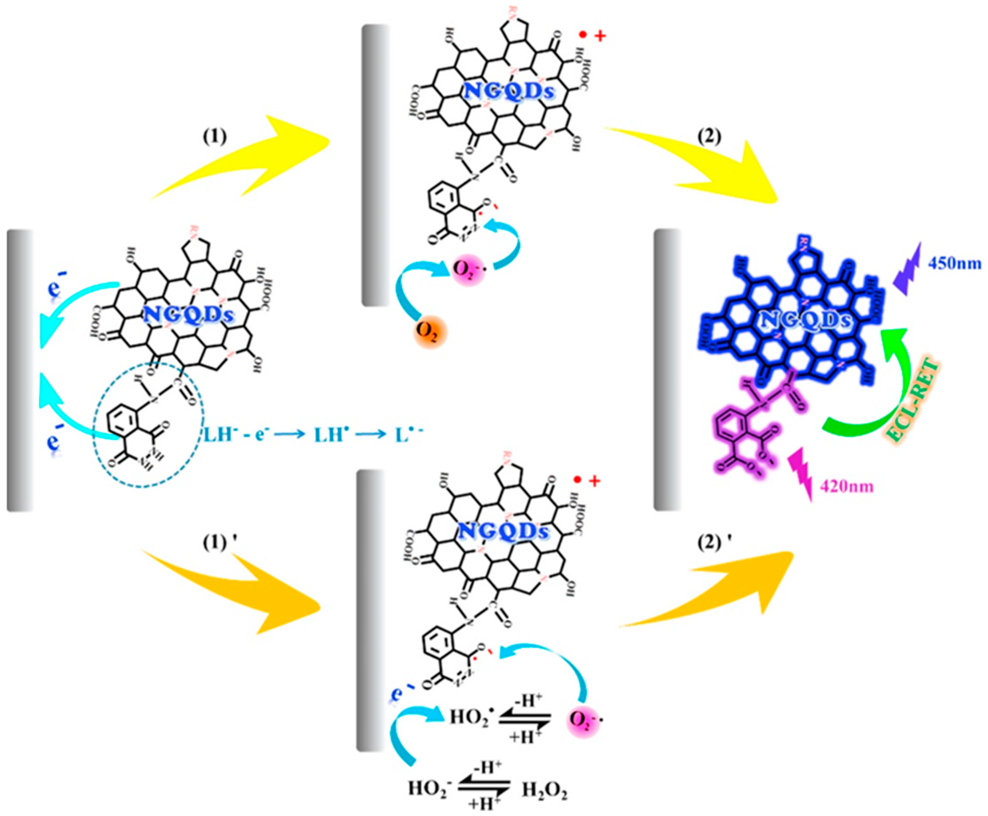 Nanomaterials 11 01120 g006