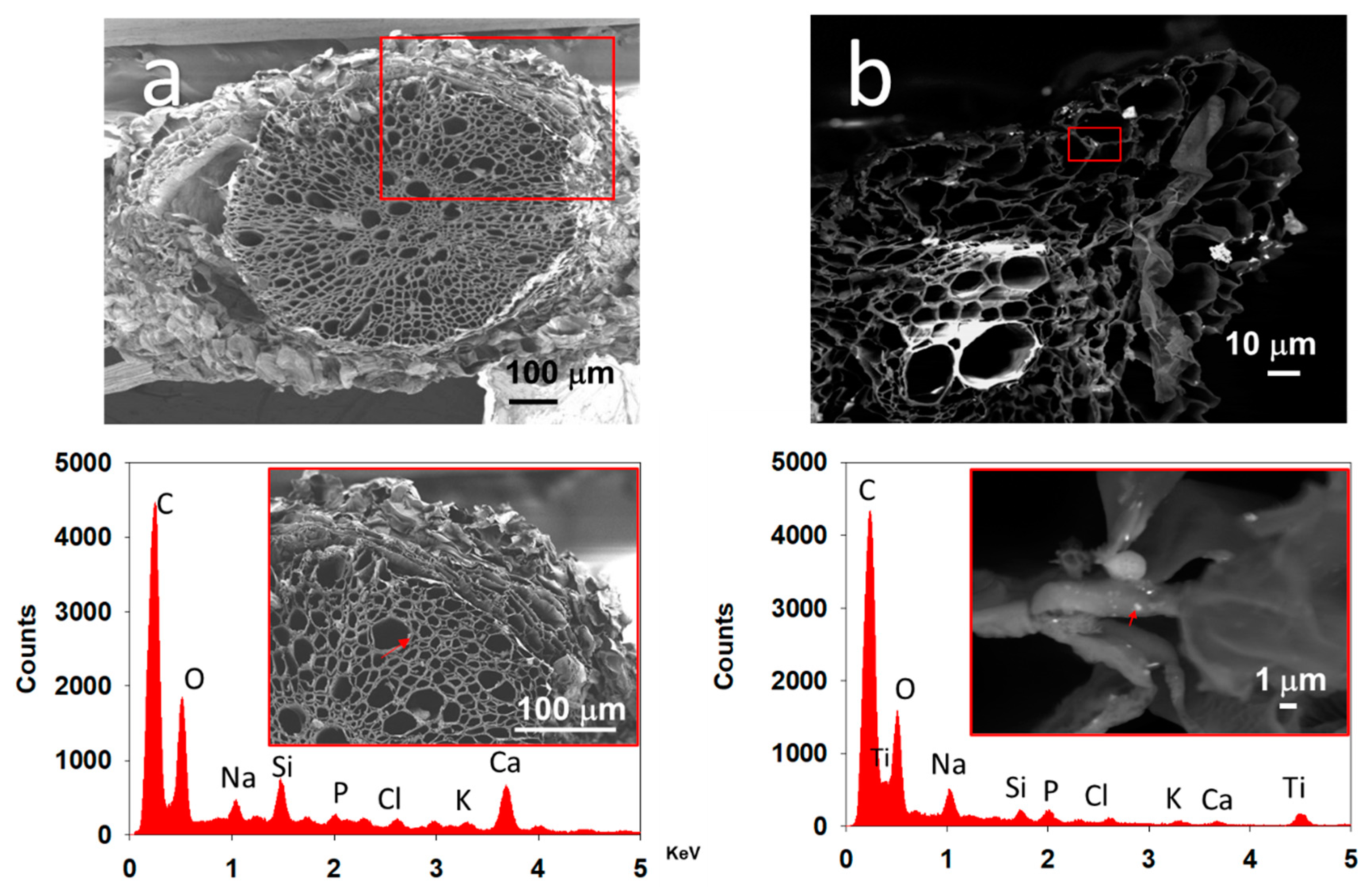 Nanomaterials 11 01127 g010 Nanomaterials 11 01127 g010