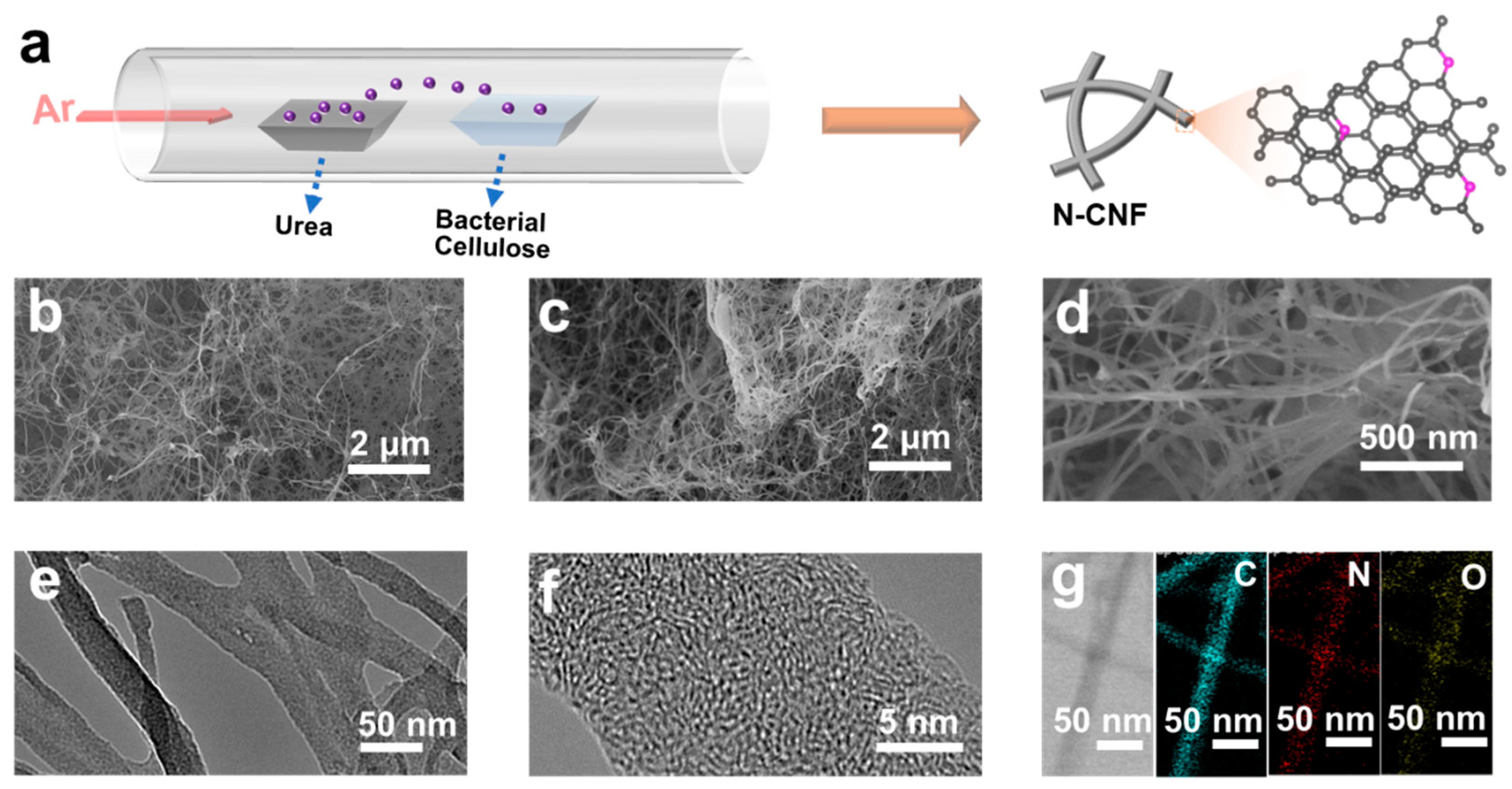 Nanomaterials 11 01130 g001