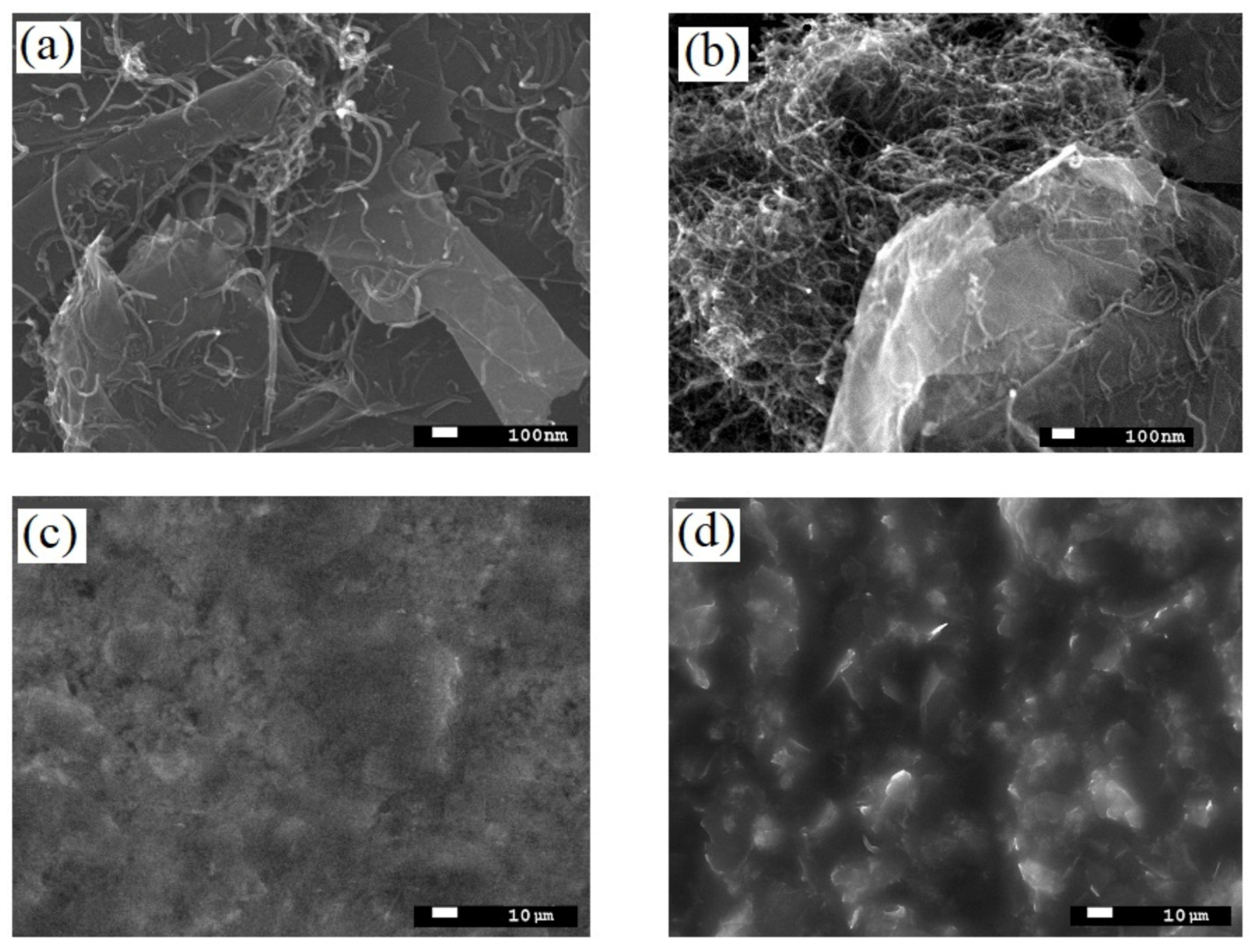 Nanomaterials 11 01143 g002 Nanomaterials 11 01143 g002