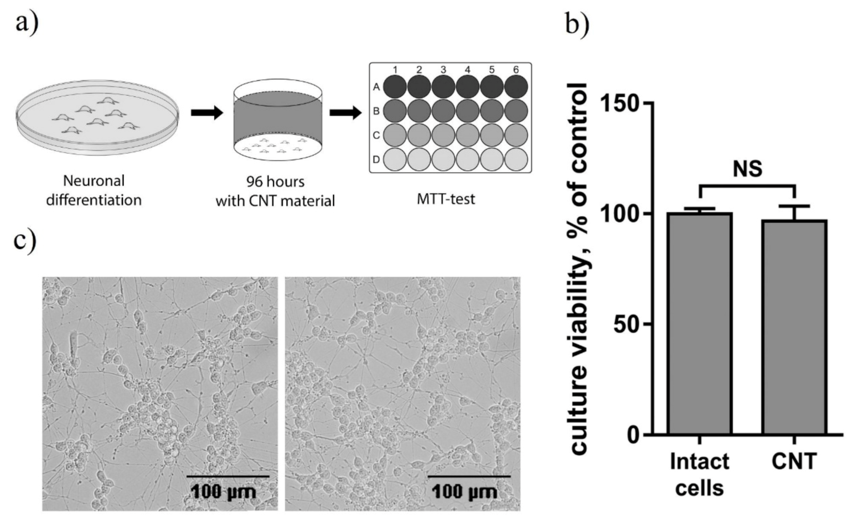 Nanomaterials 11 01143 g006 Nanomaterials 11 01143 g006
