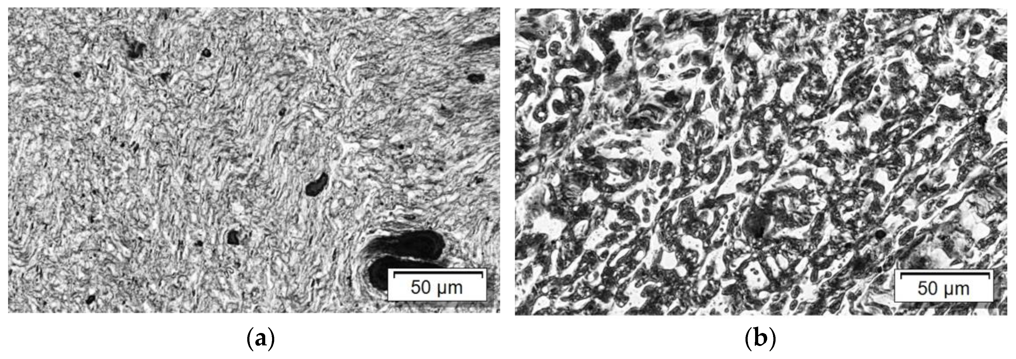 Nanomaterials 11 01146 g006