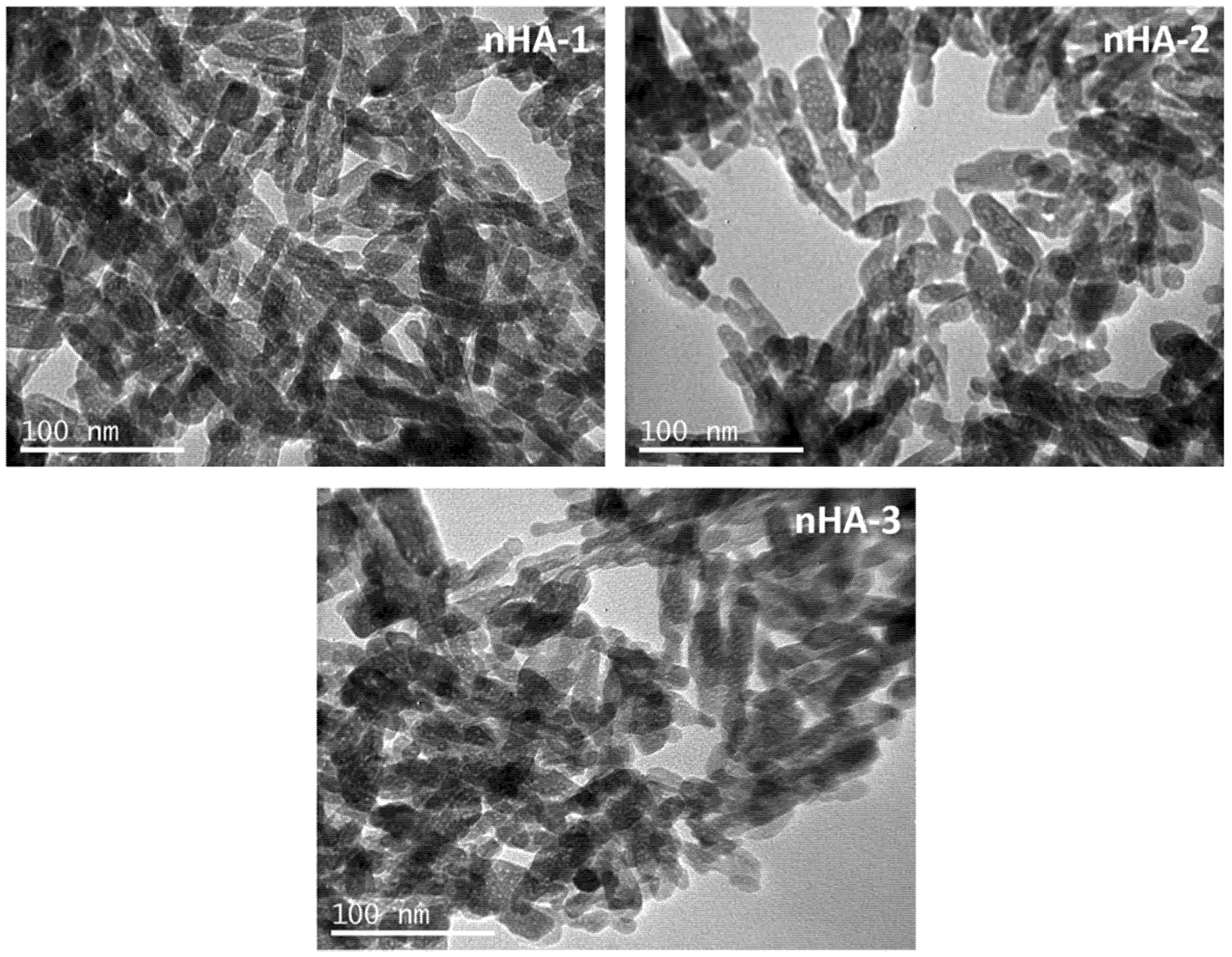 Nanomaterials 11 01152 g001 Nanomaterials 11 01152 g001