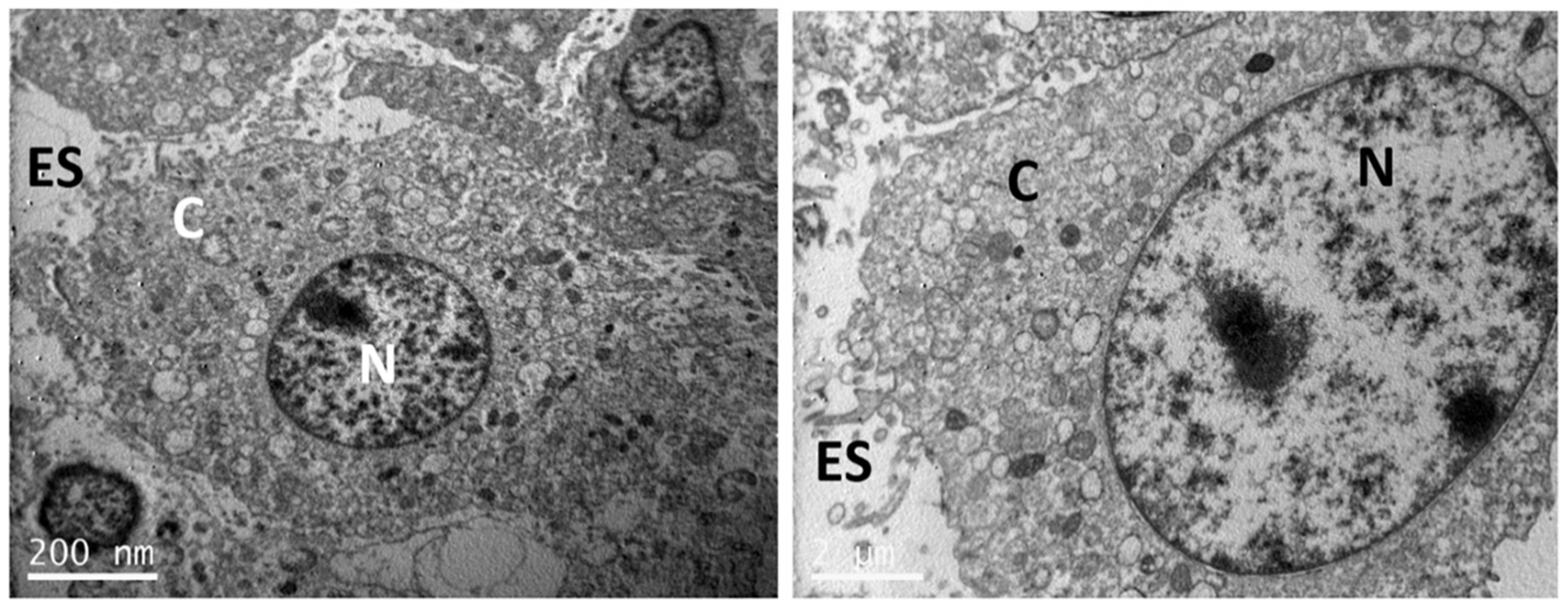 Nanomaterials 11 01152 g008 Nanomaterials 11 01152 g008