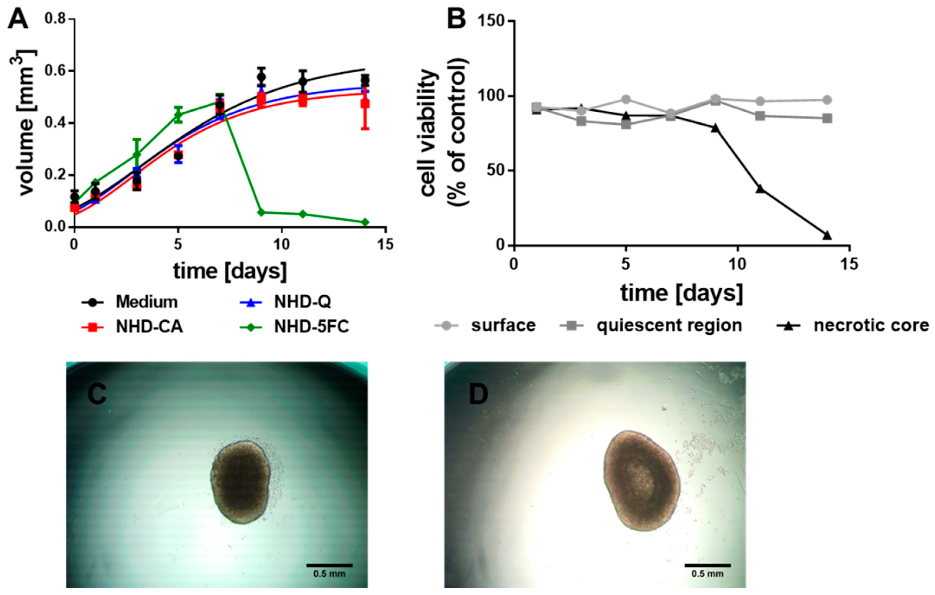 Nanomaterials 11 01167 g002