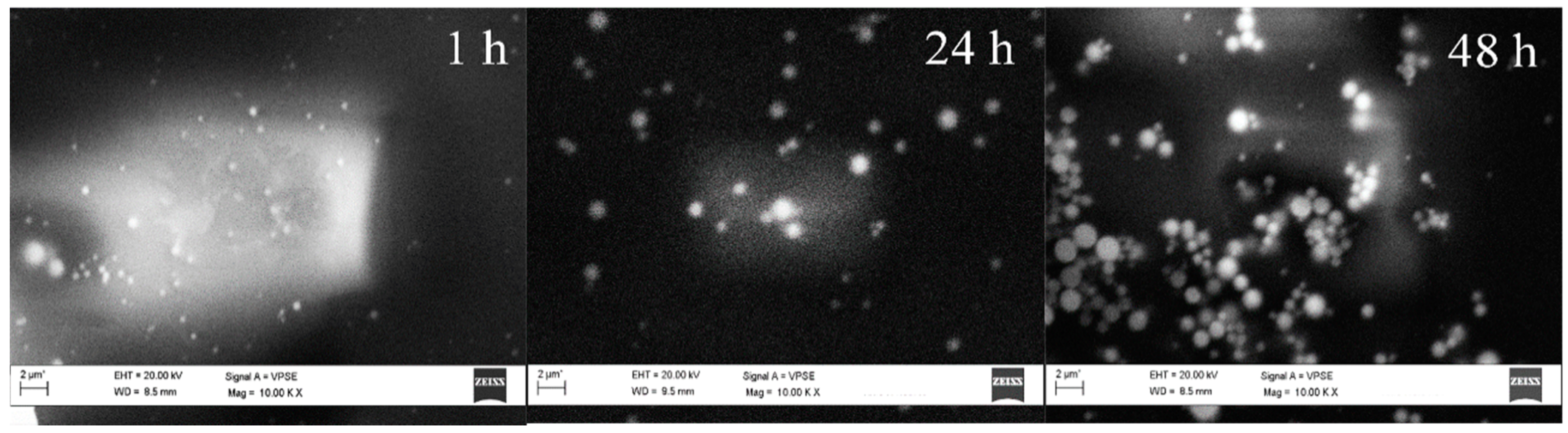 Nanomaterials 11 01175 g002