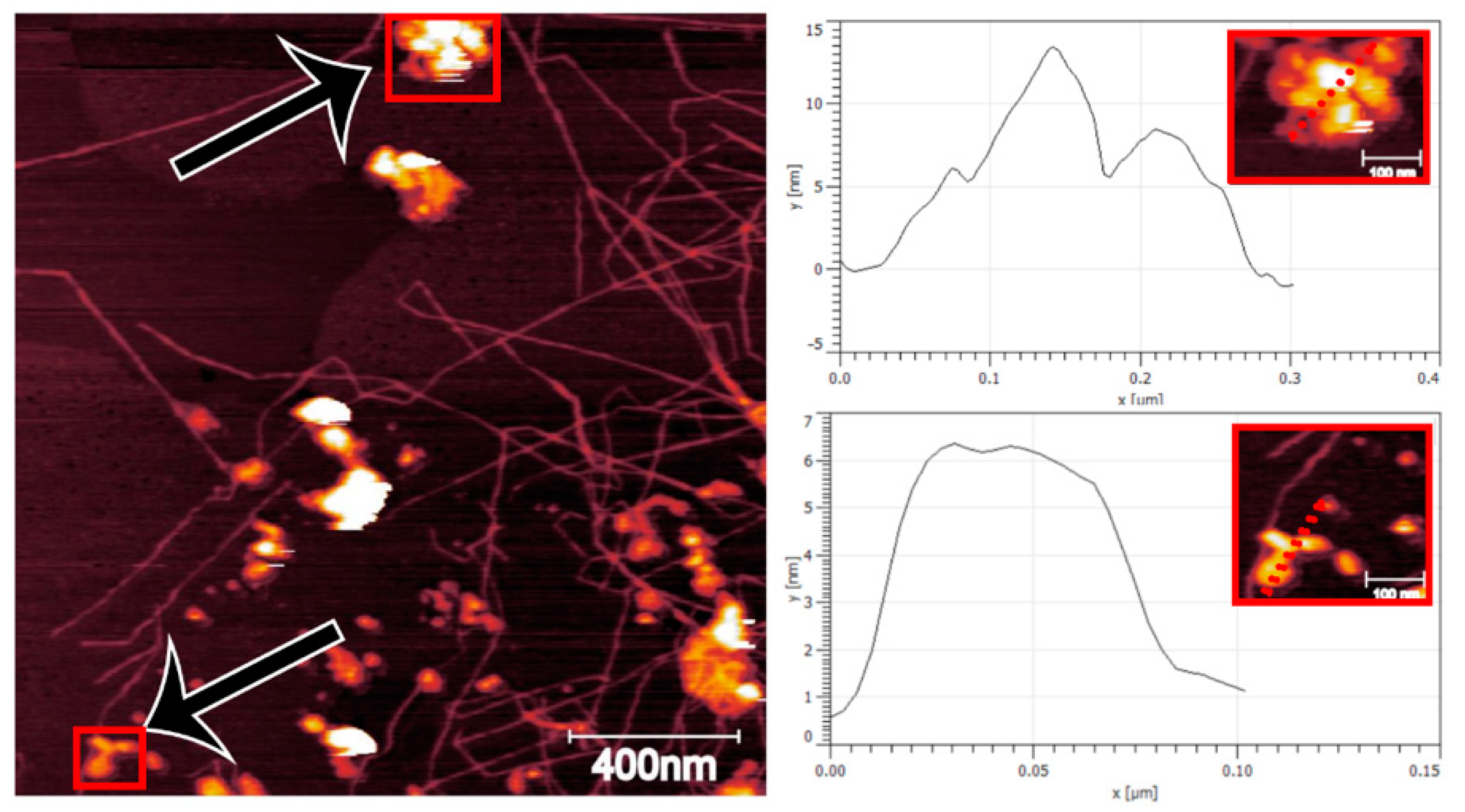 Nanomaterials 11 01179 g003