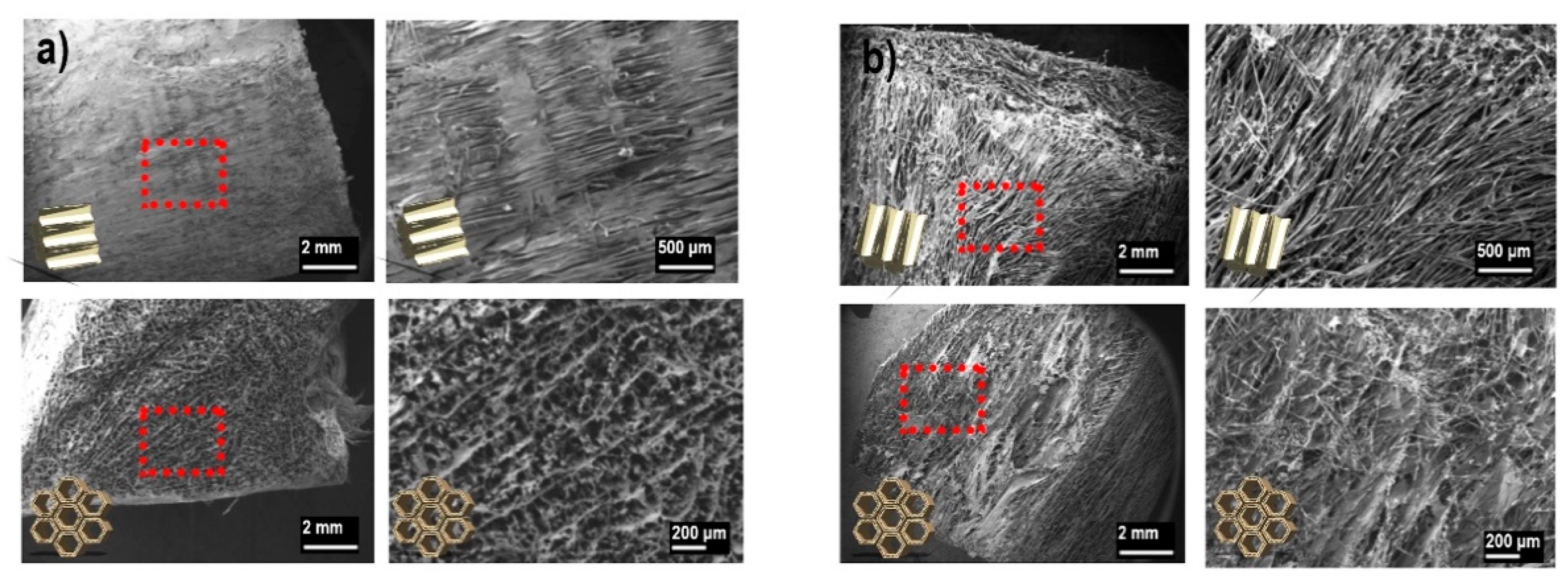 Nanomaterials 11 01179 g007
