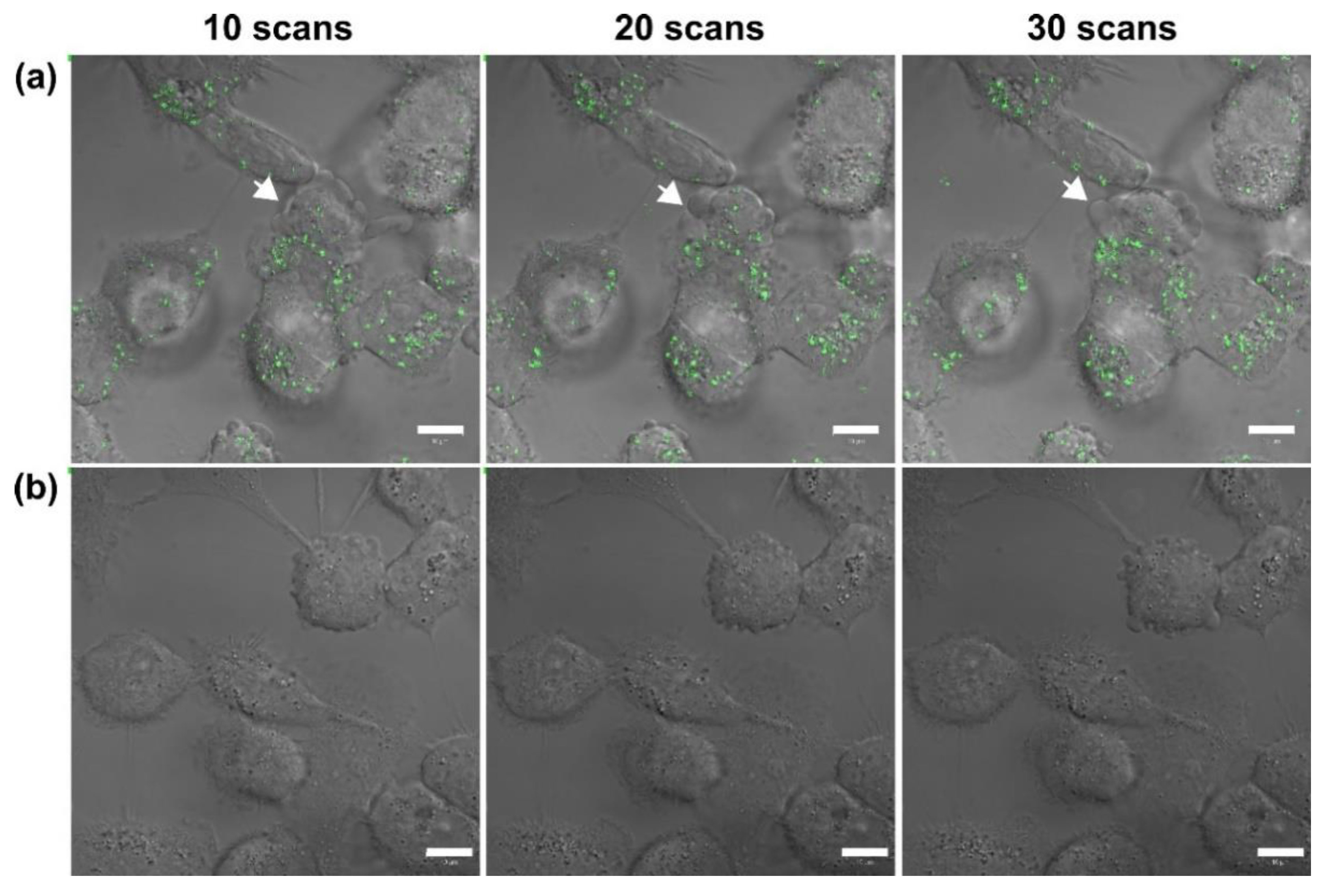 Nanomaterials 11 01180 g001