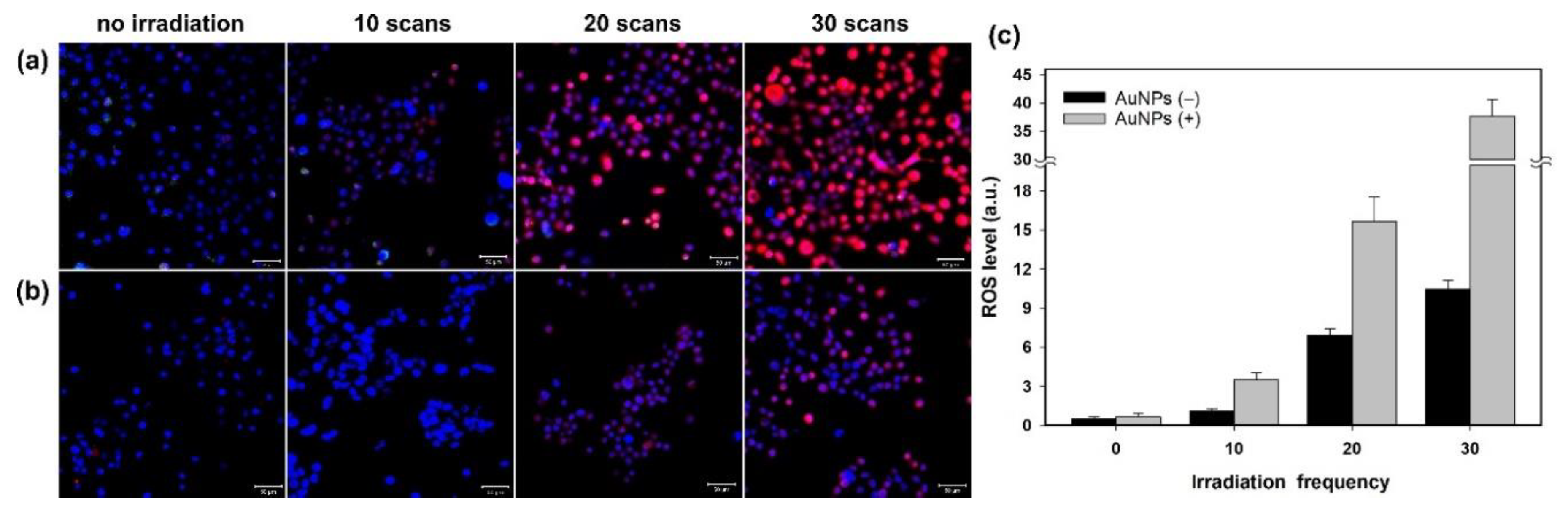 Nanomaterials 11 01180 g002