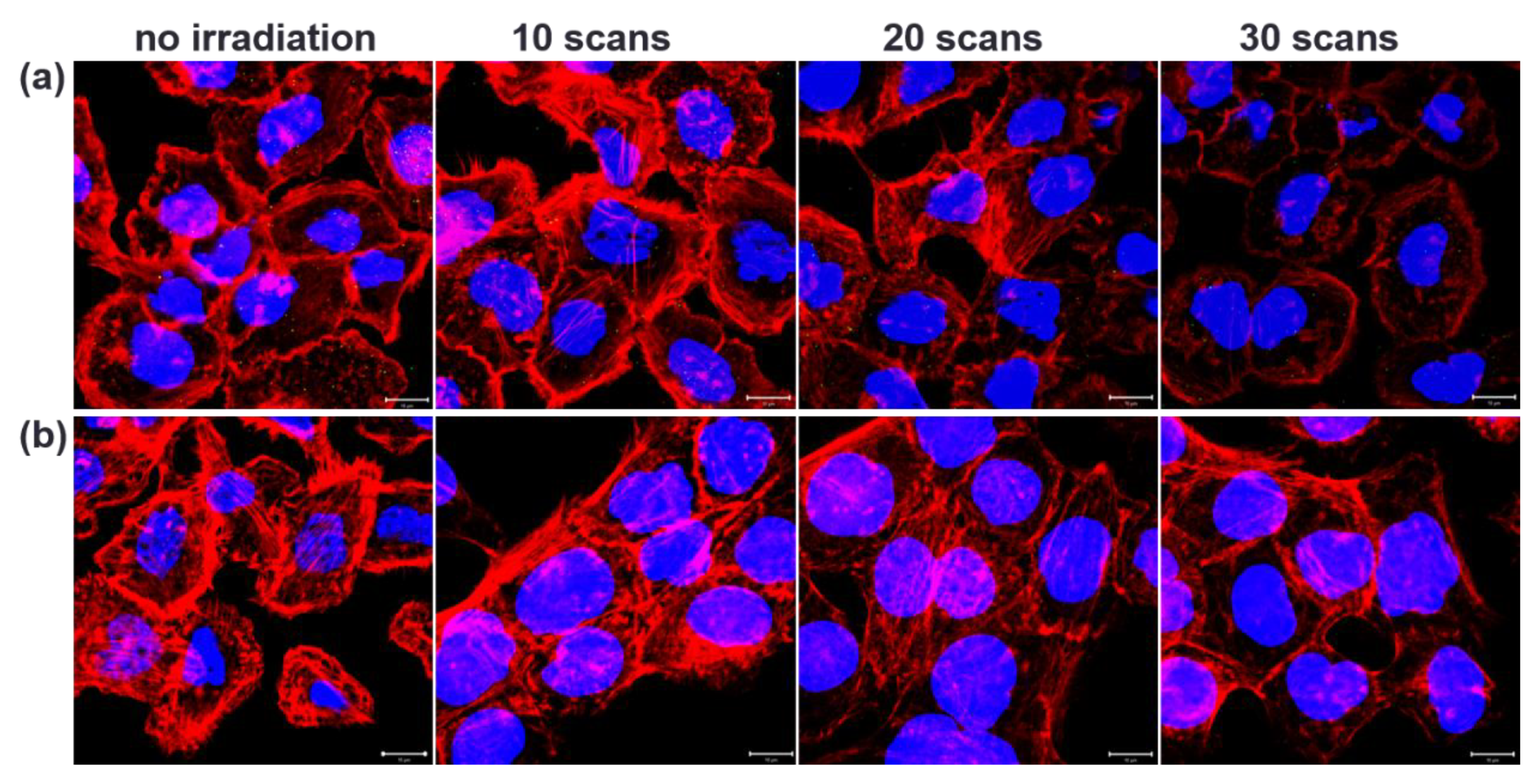 Nanomaterials 11 01180 g003
