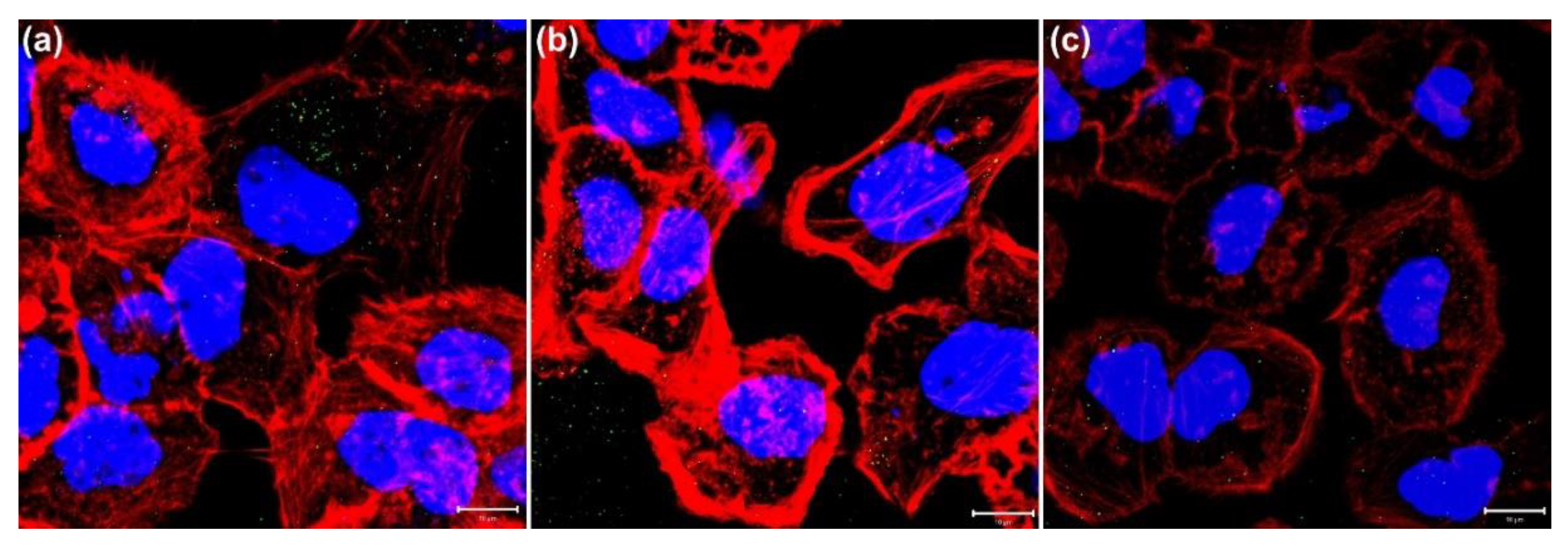 Nanomaterials 11 01180 g005