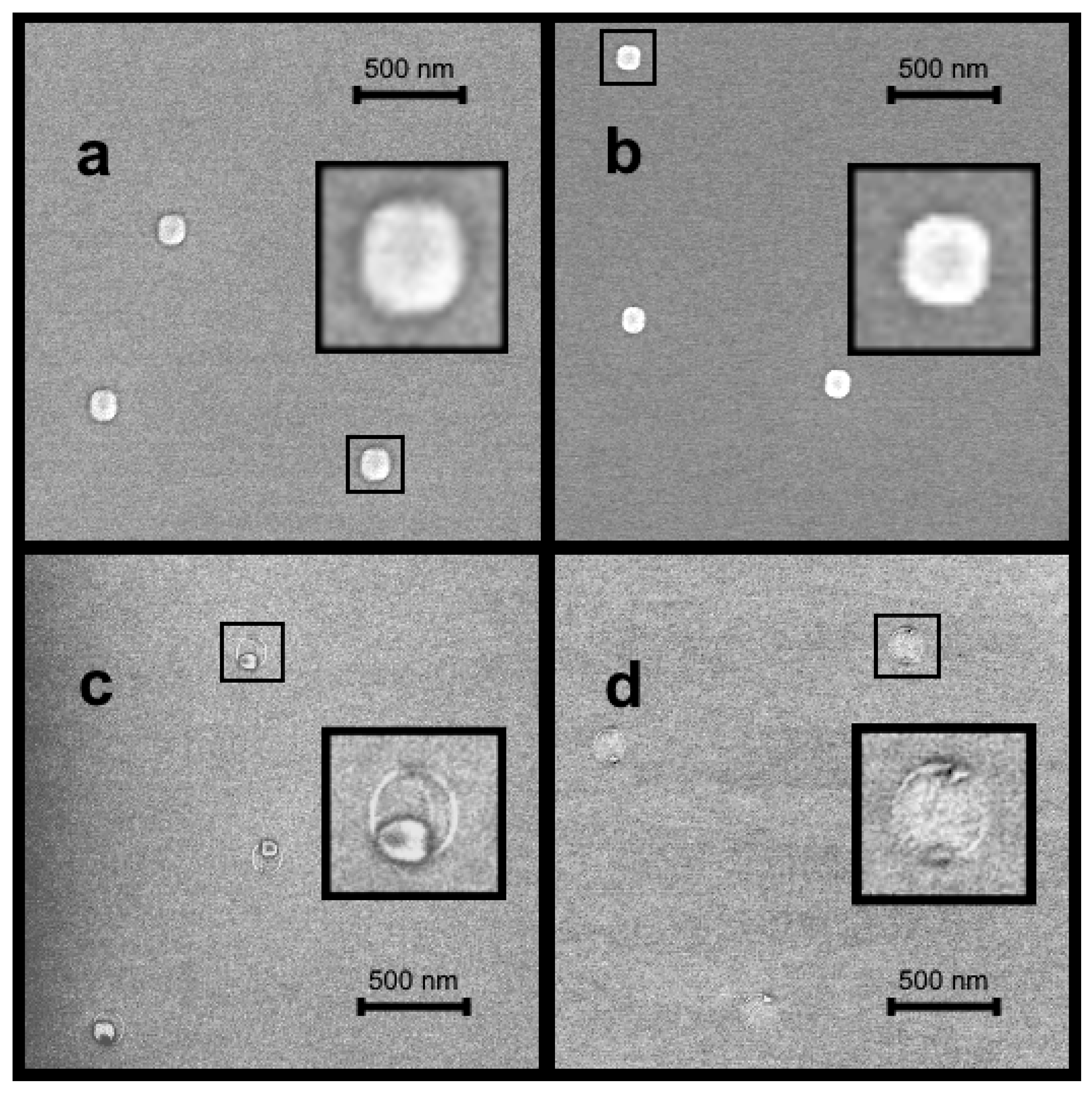 Nanomaterials 11 01184 g001