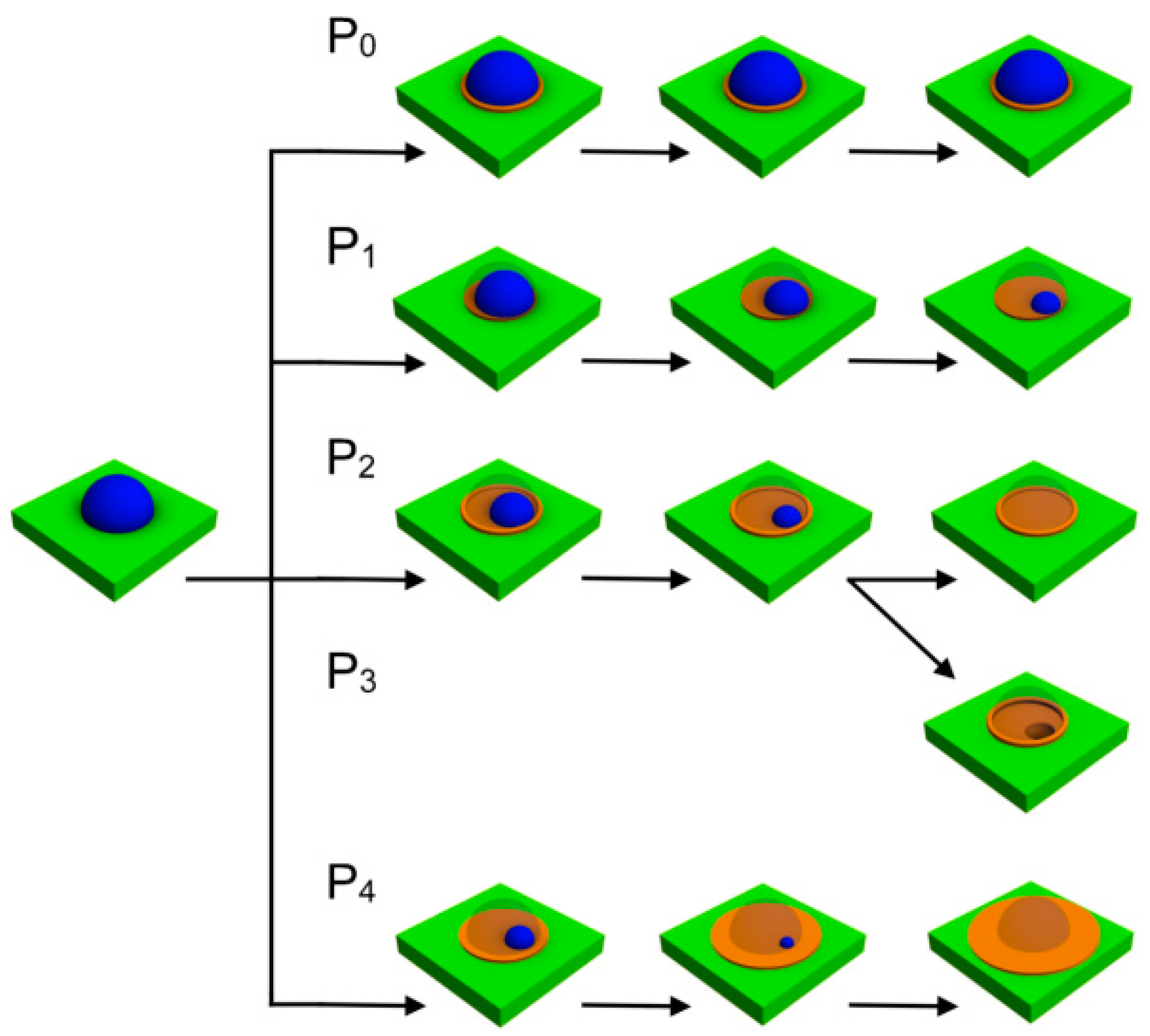 Nanomaterials 11 01184 g007