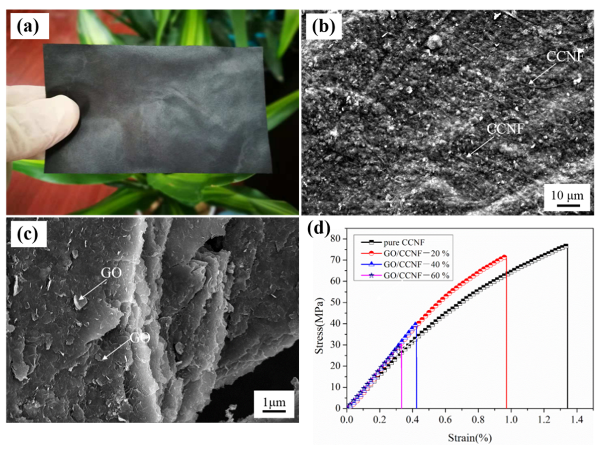 Nanomaterials 11 01187 g002