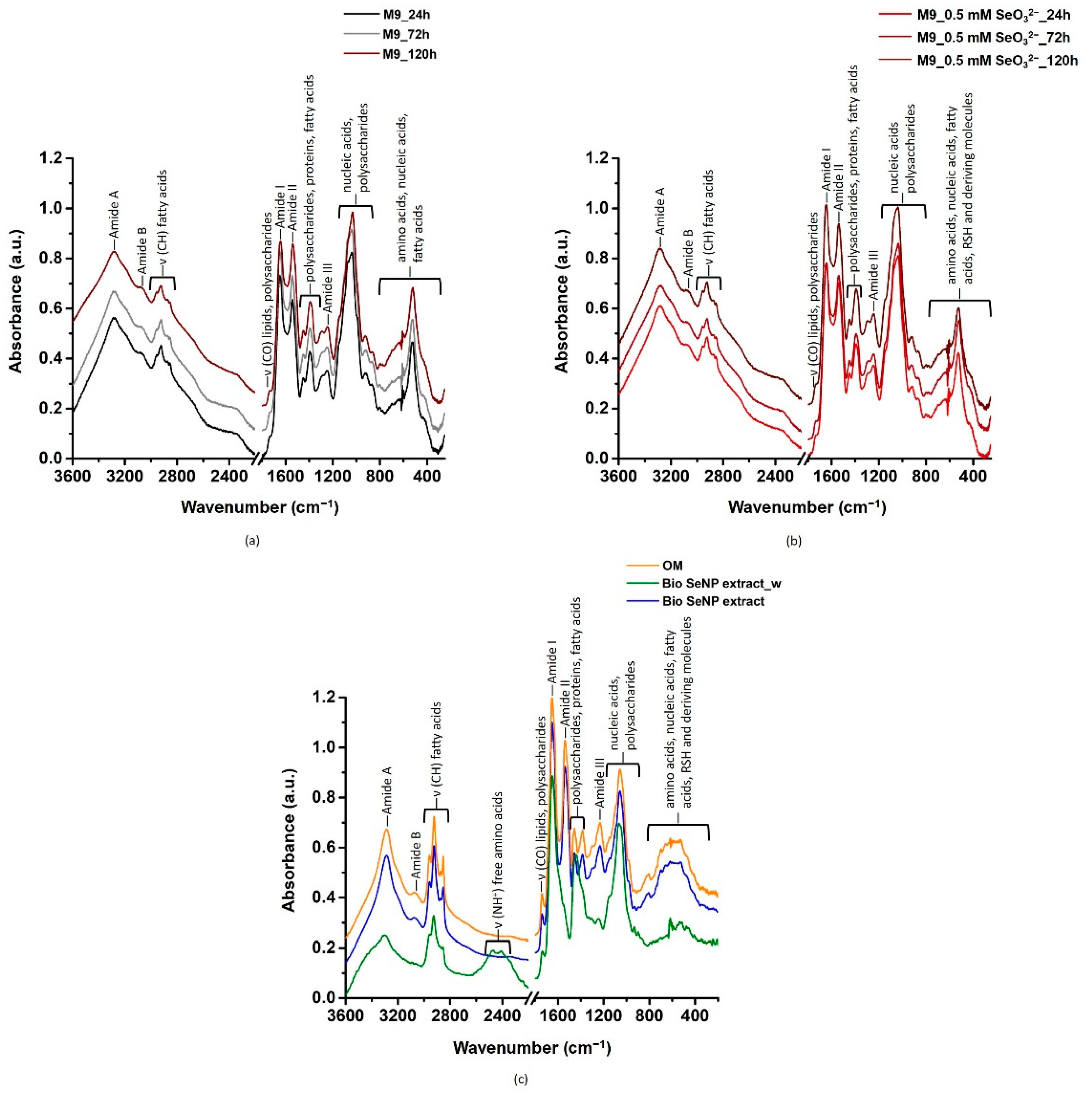 Nanomaterials 11 01195 g003
