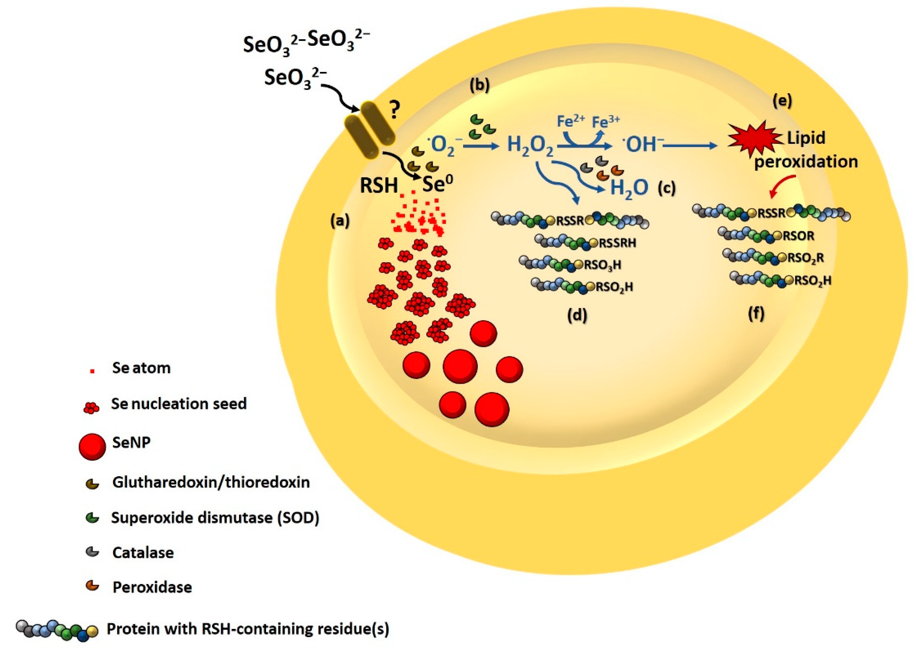Nanomaterials 11 01195 g004