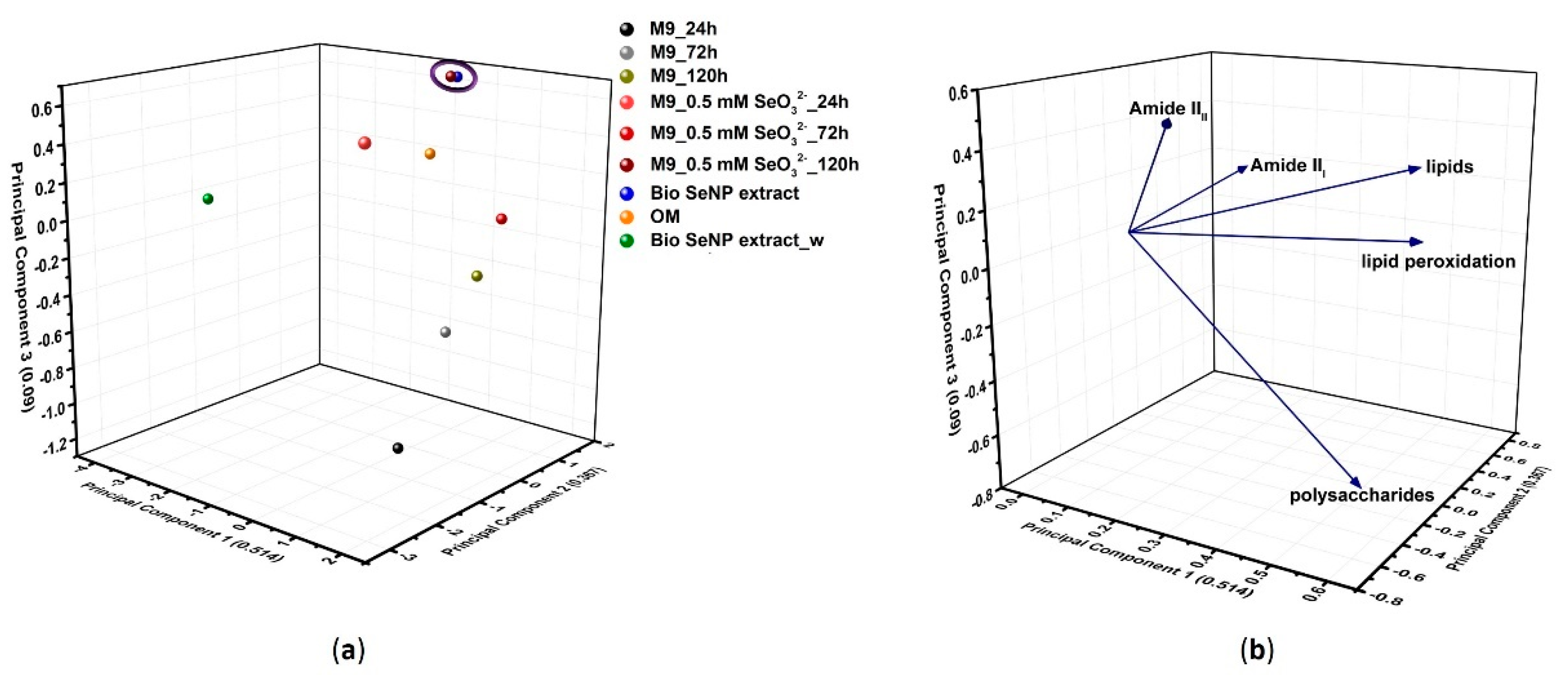 Nanomaterials 11 01195 g005