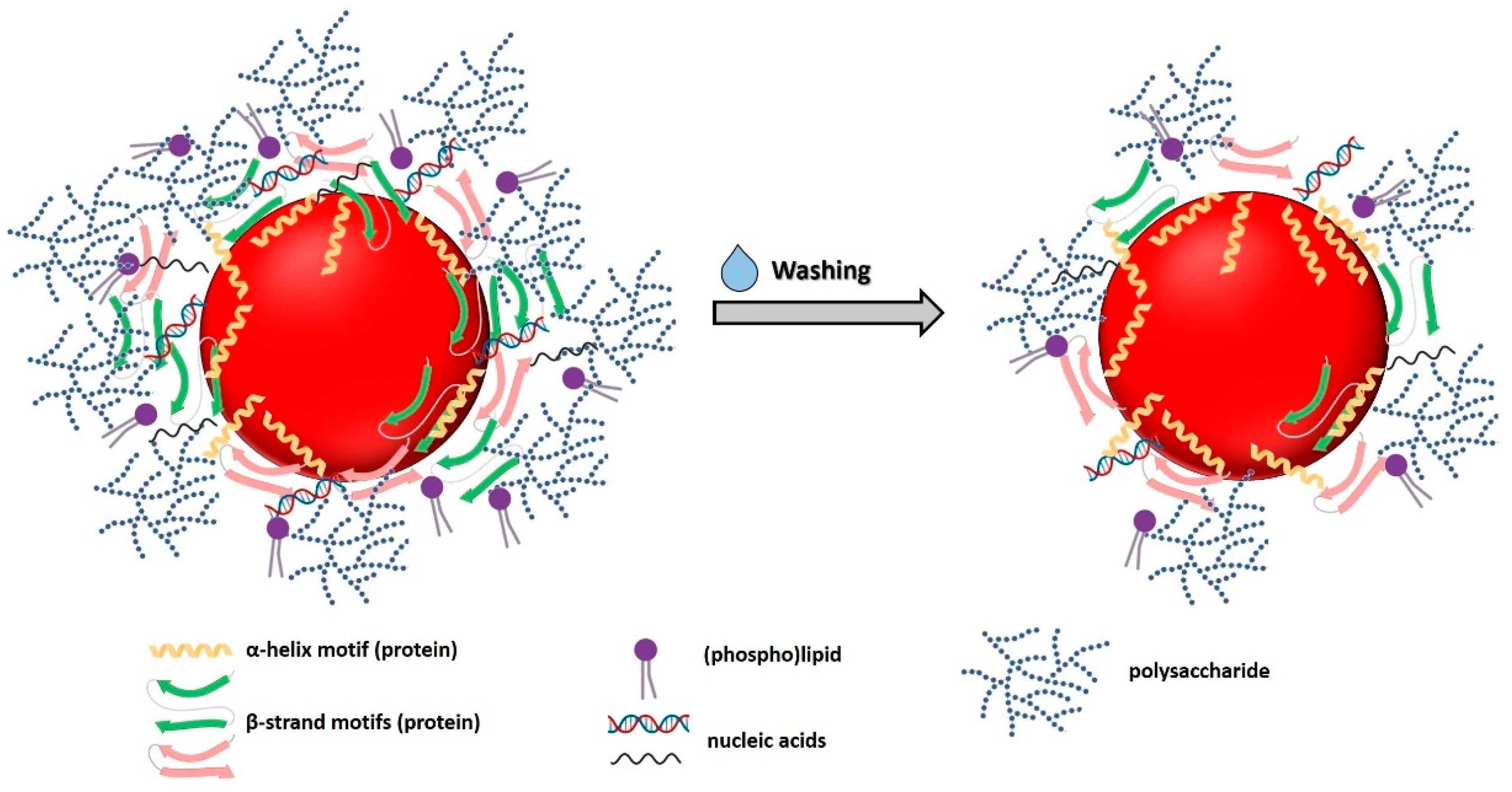 Nanomaterials 11 01195 g006