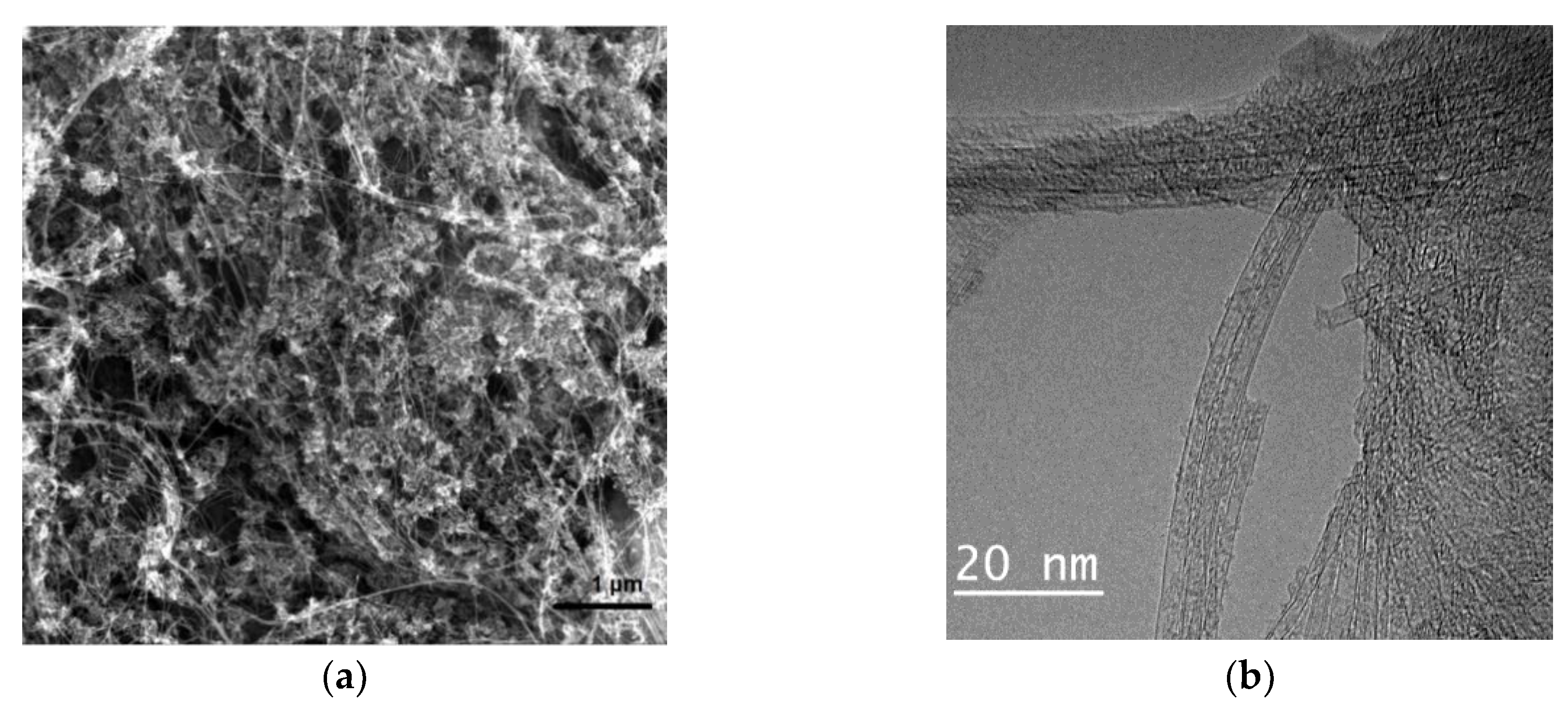 Nanomaterials 11 01213 g002