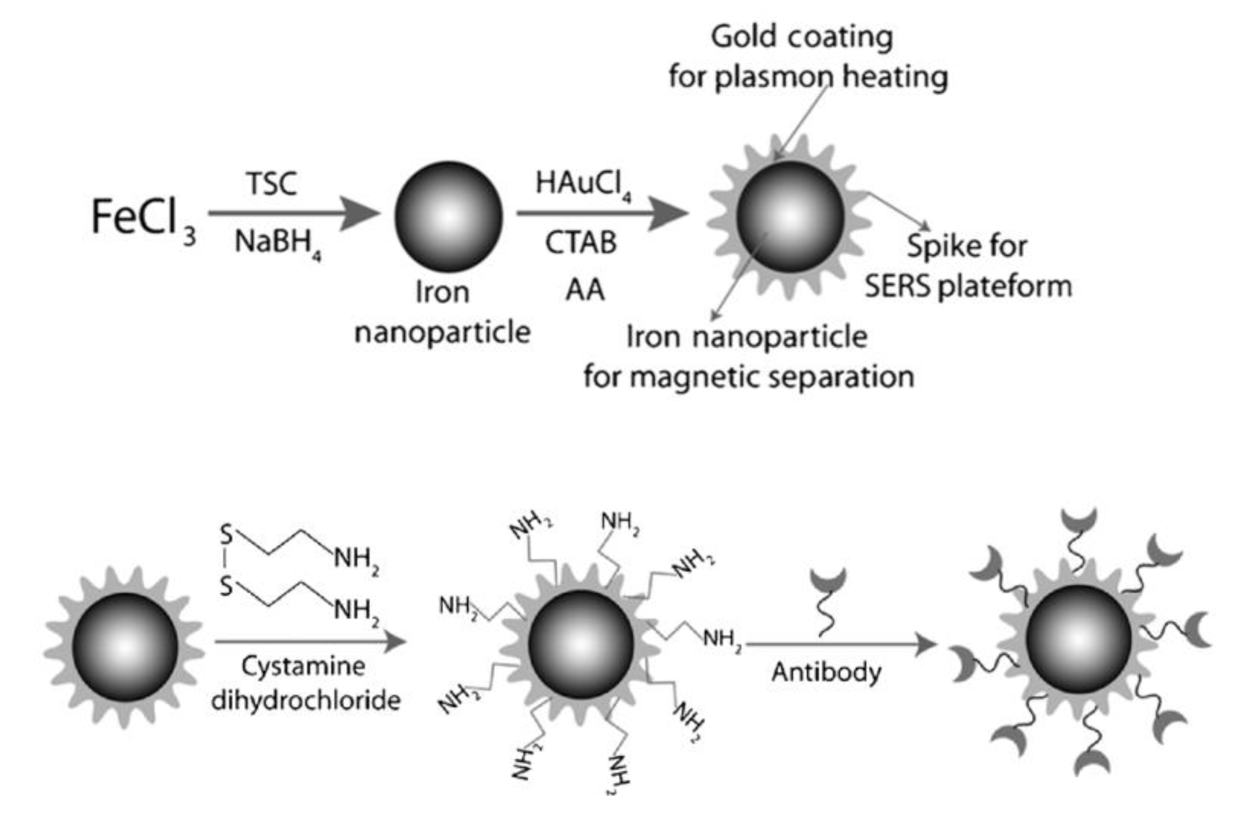 Nanomaterials 11 01215 g001