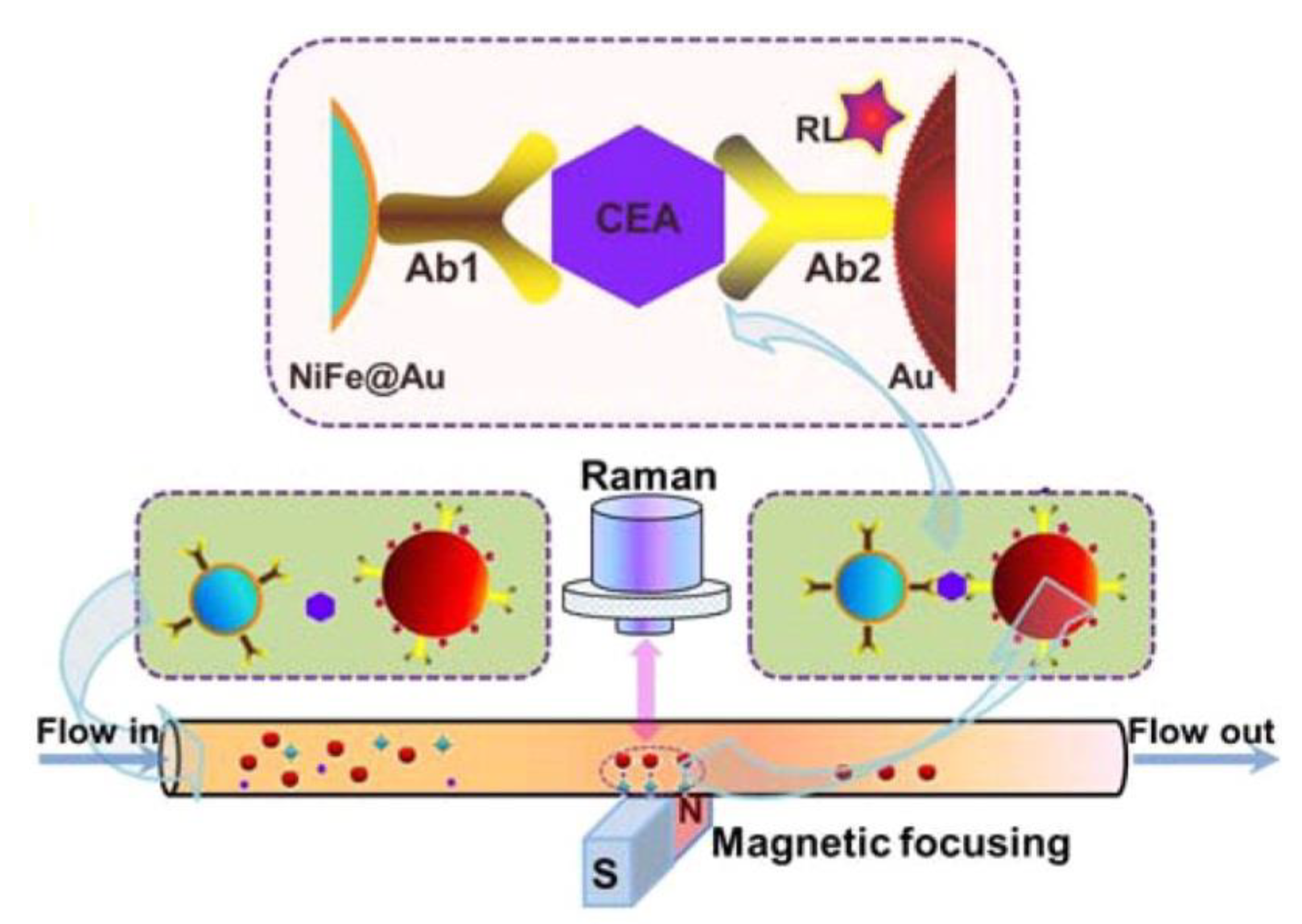 Nanomaterials 11 01215 g004