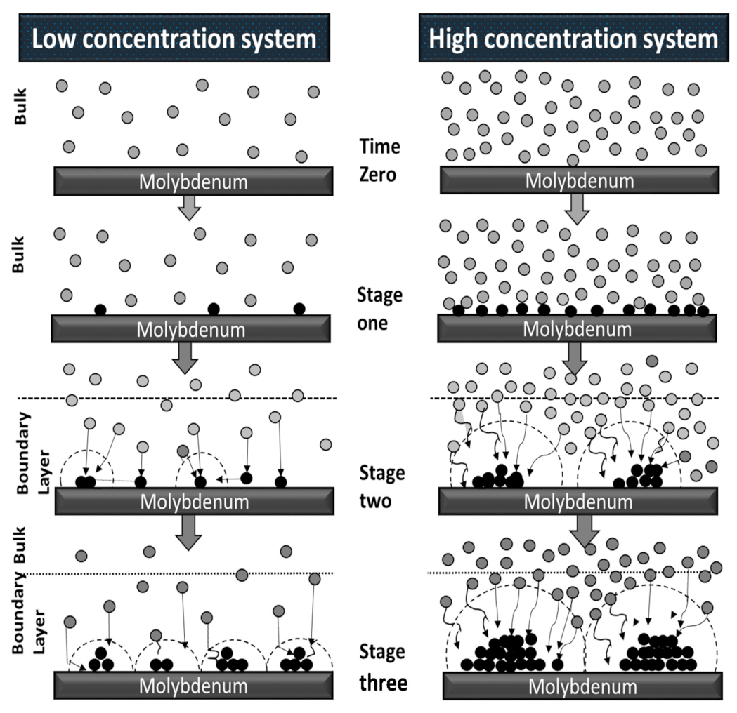 Nanomaterials 11 01222 g012