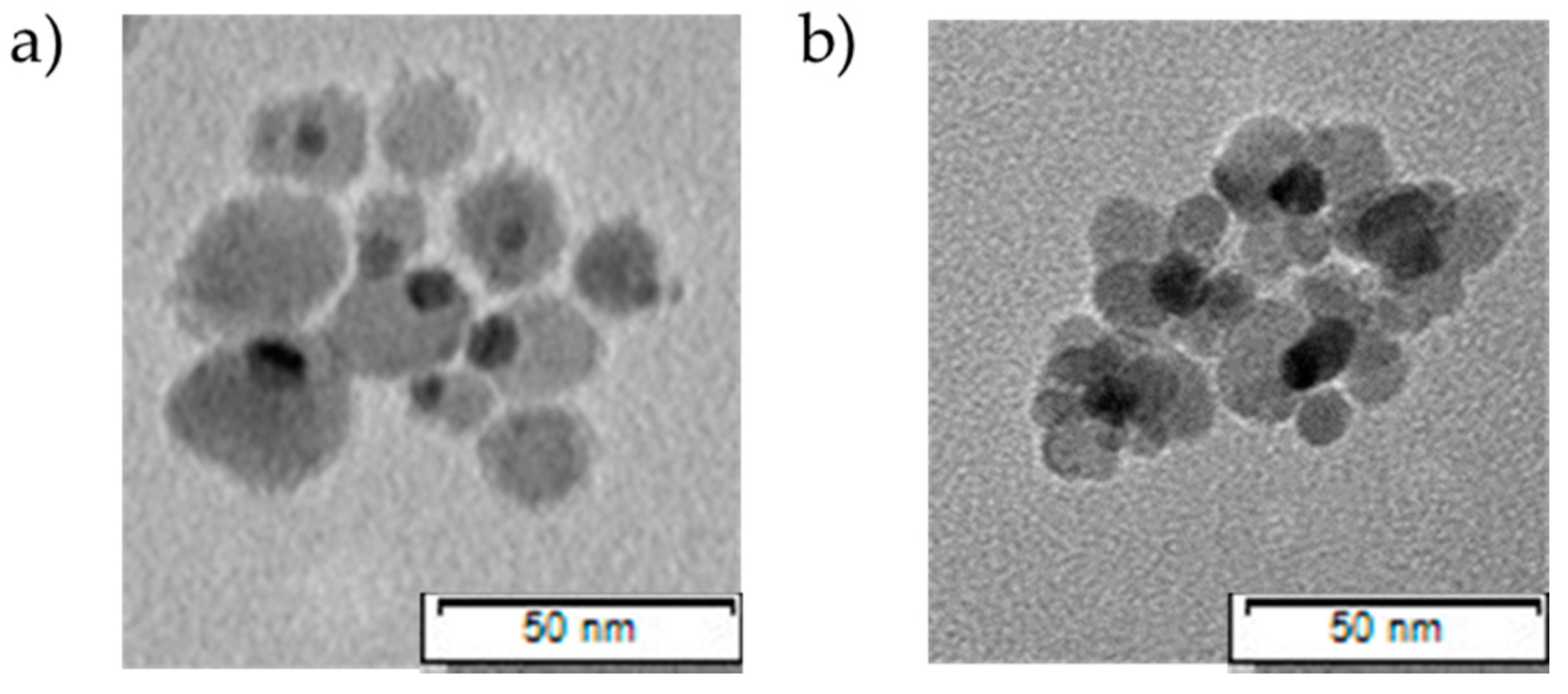 Nanomaterials 11 01227 g003