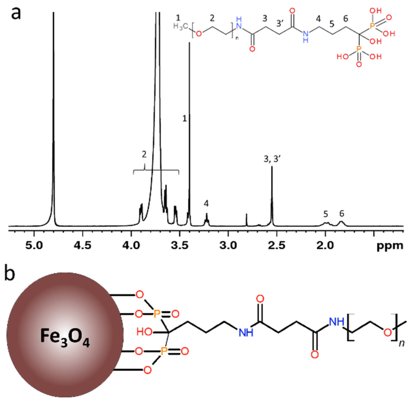 Nanomaterials 11 01238 g001