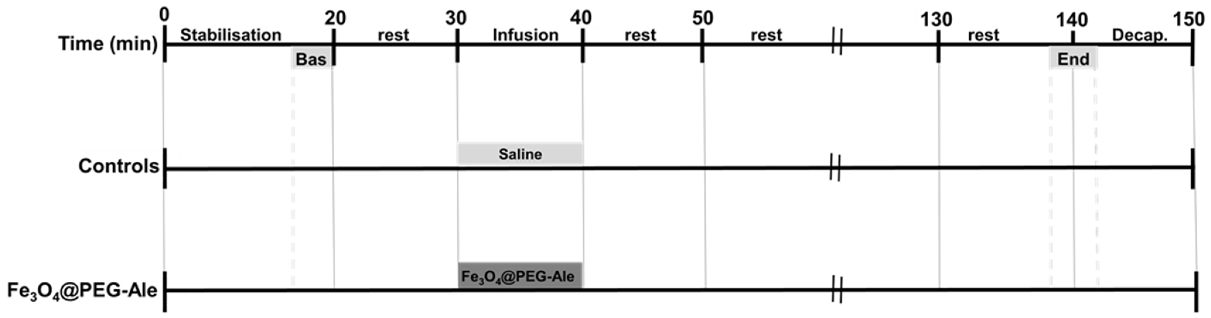 Nanomaterials 11 01238 g002