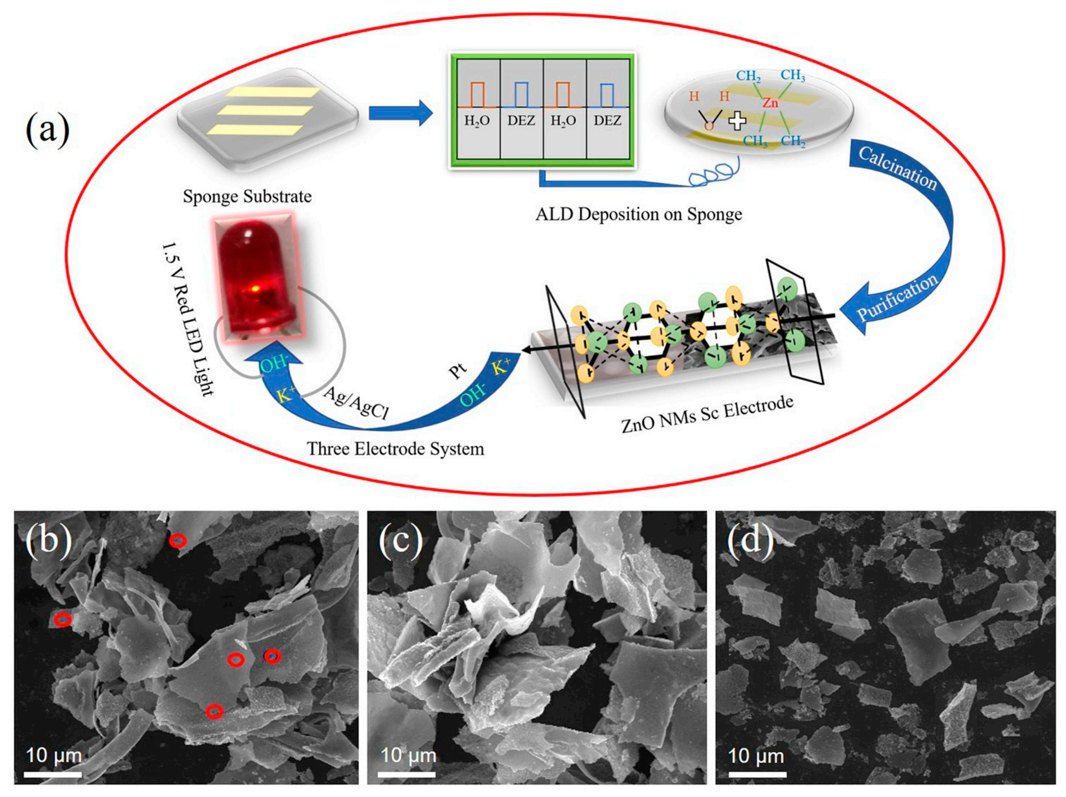 Nanomaterials 11 01248 g006 Nanomaterials 11 01248 g006