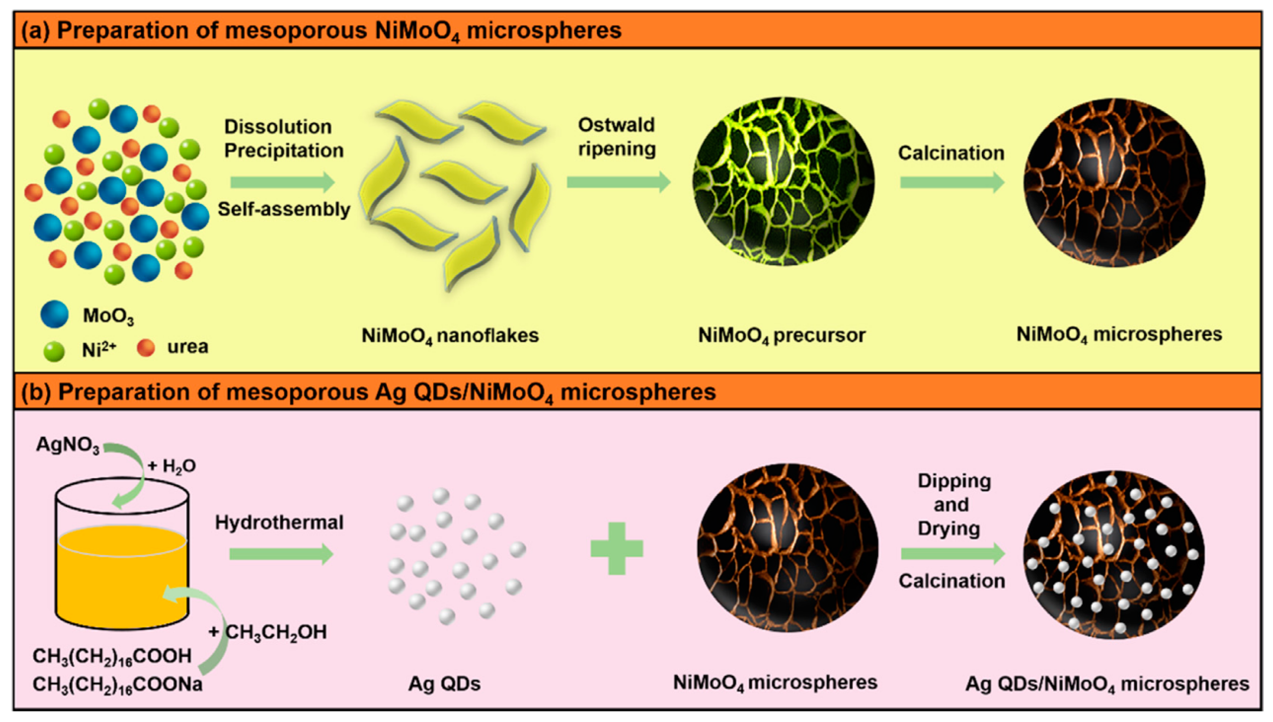 Nanomaterials 11 01248 g010 Nanomaterials 11 01248 g010